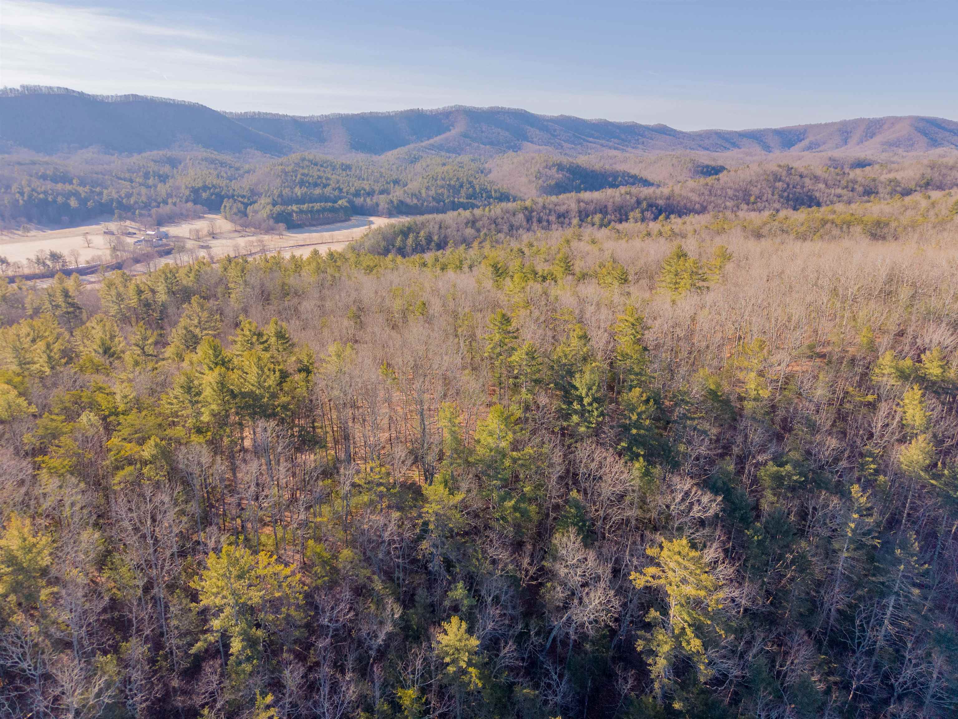 0 Kimberling Road Bland VA 24315