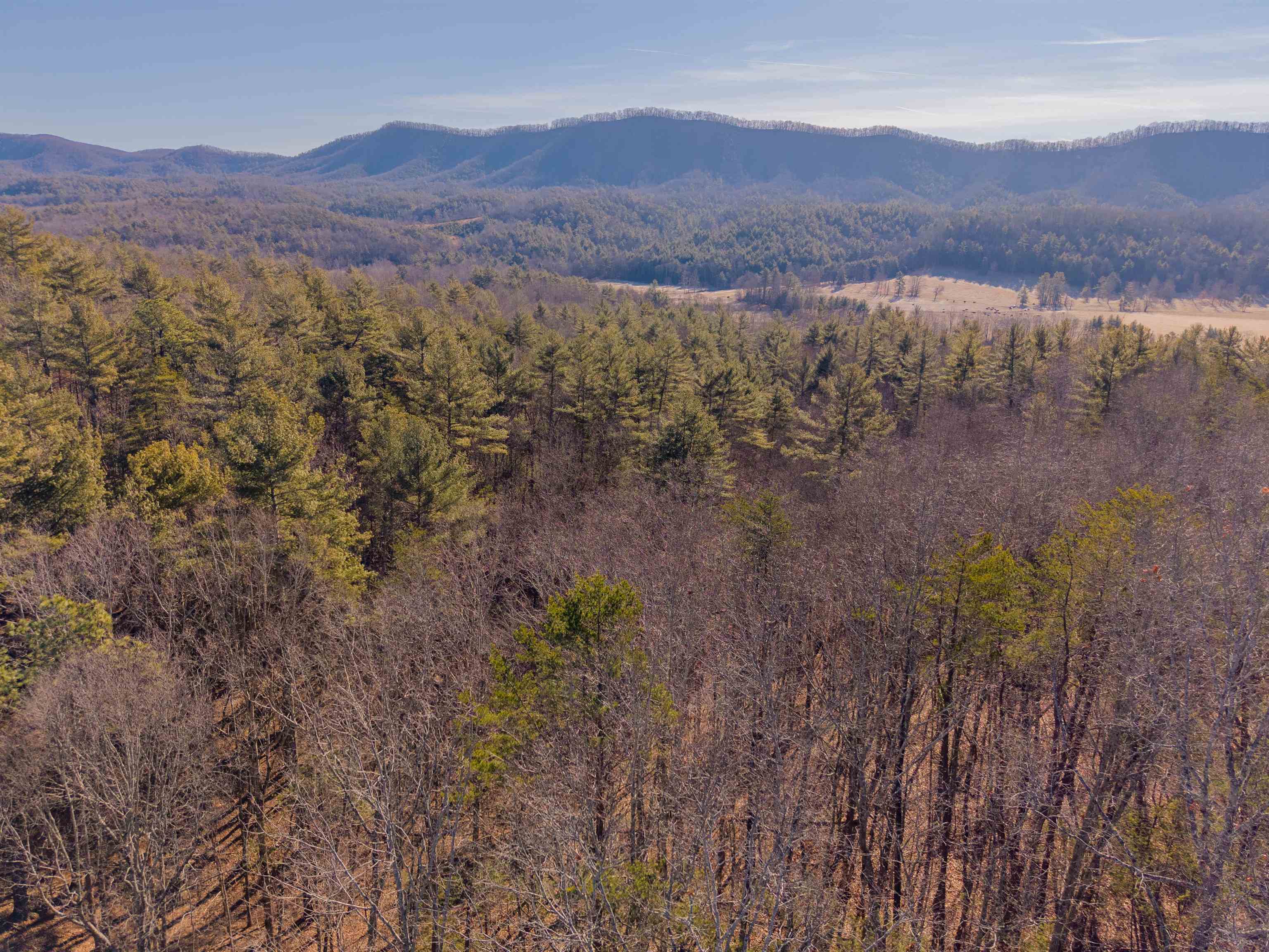 0 Kimberling Road Bland VA 24315