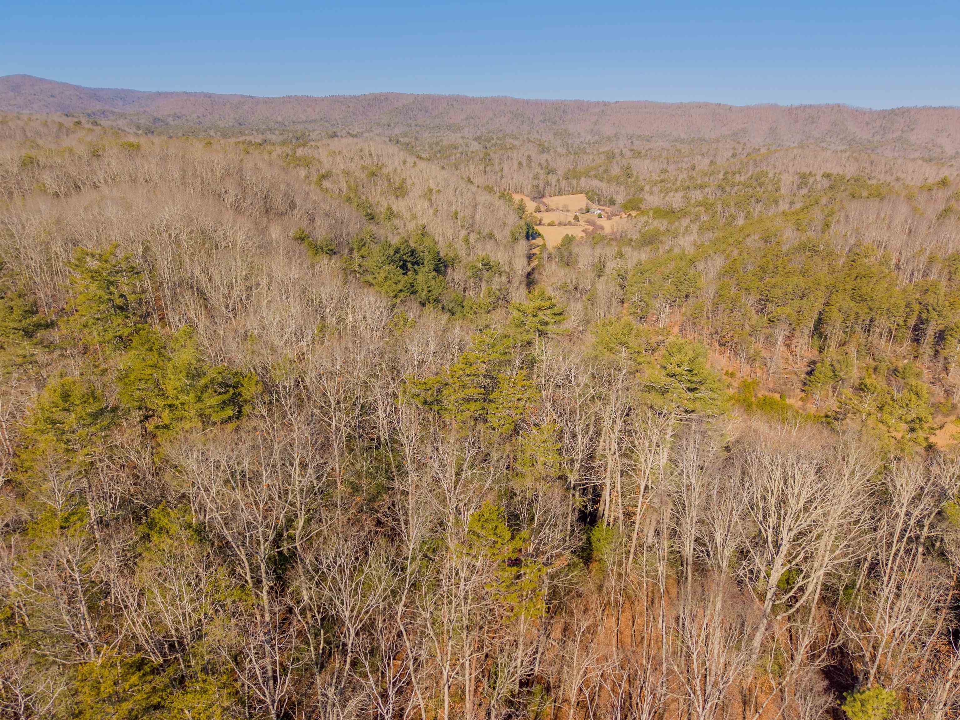 0 Kimberling Road Bland VA 24315