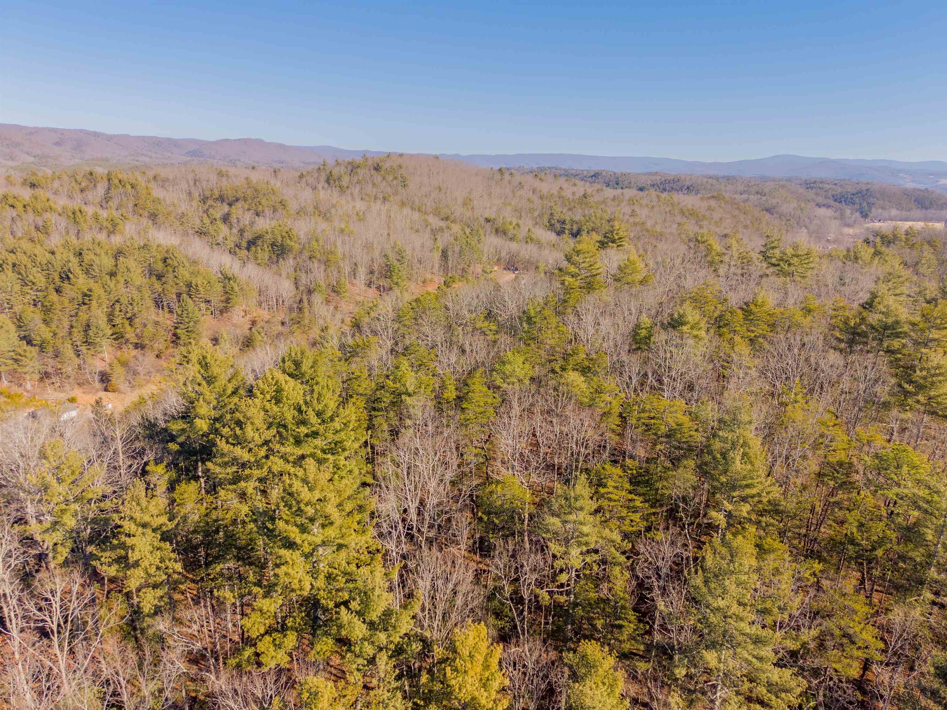 0 Kimberling Road Bland VA 24315