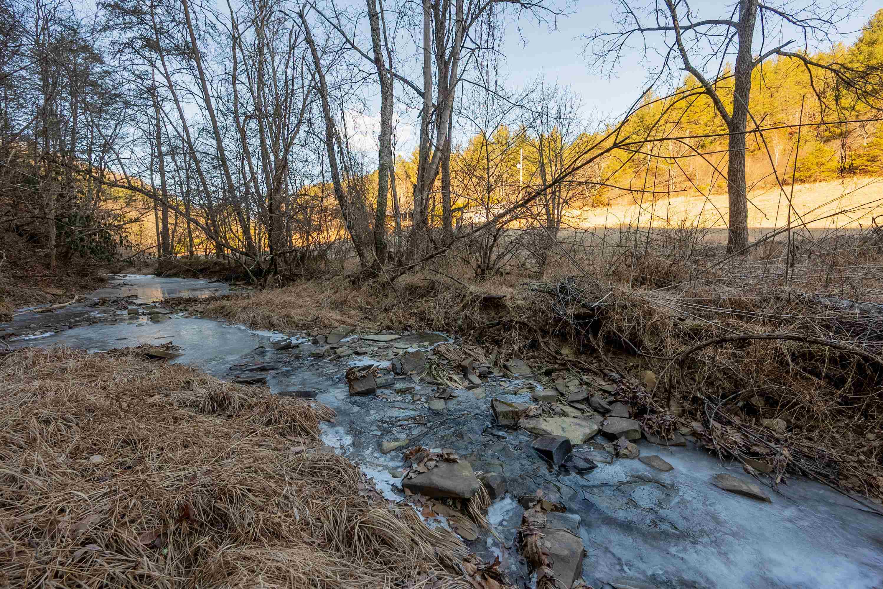 0 Kimberling Road Bland VA 24315