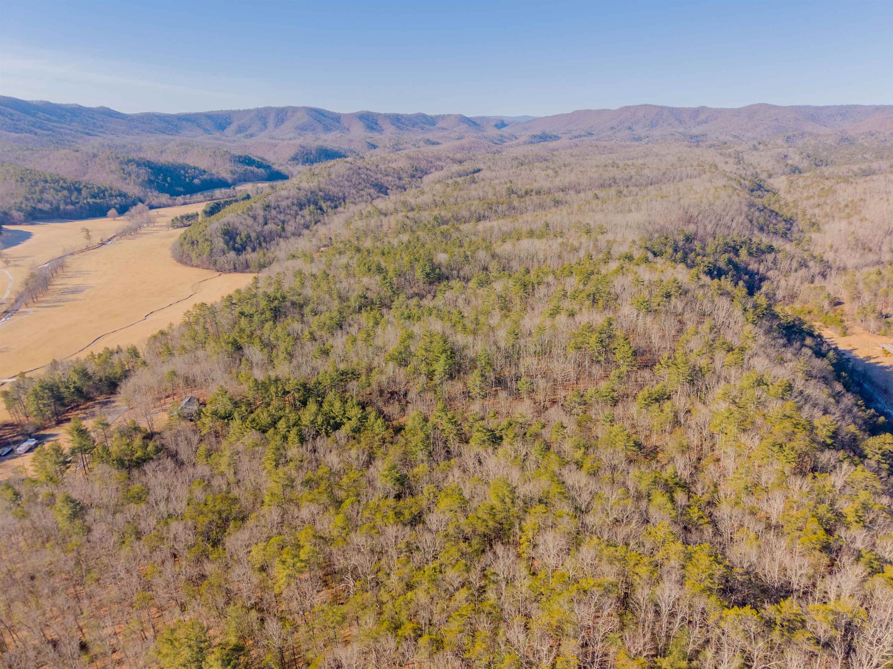 0 Kimberling Road Bland VA 24315