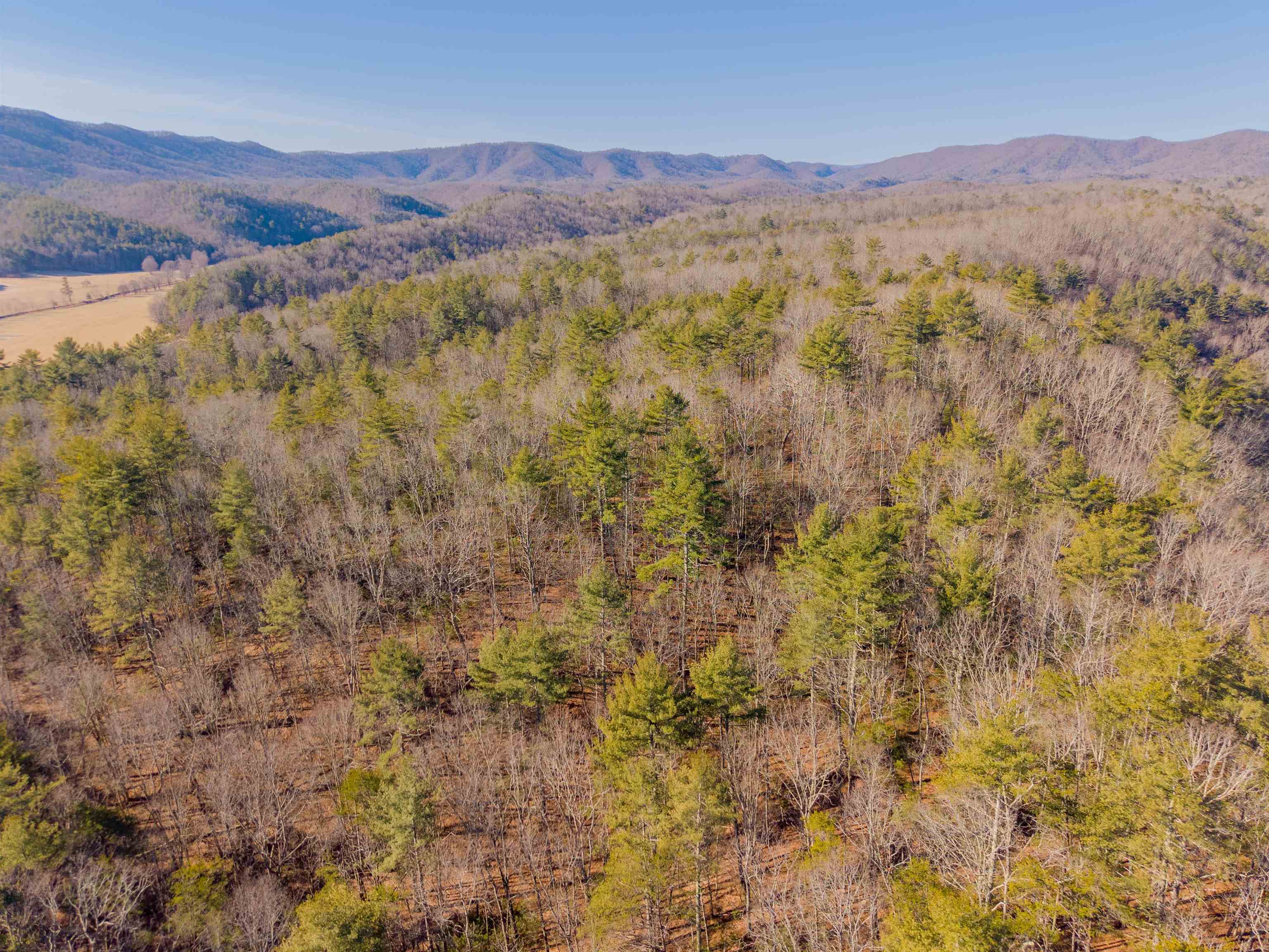 0 Kimberling Road Bland VA 24315