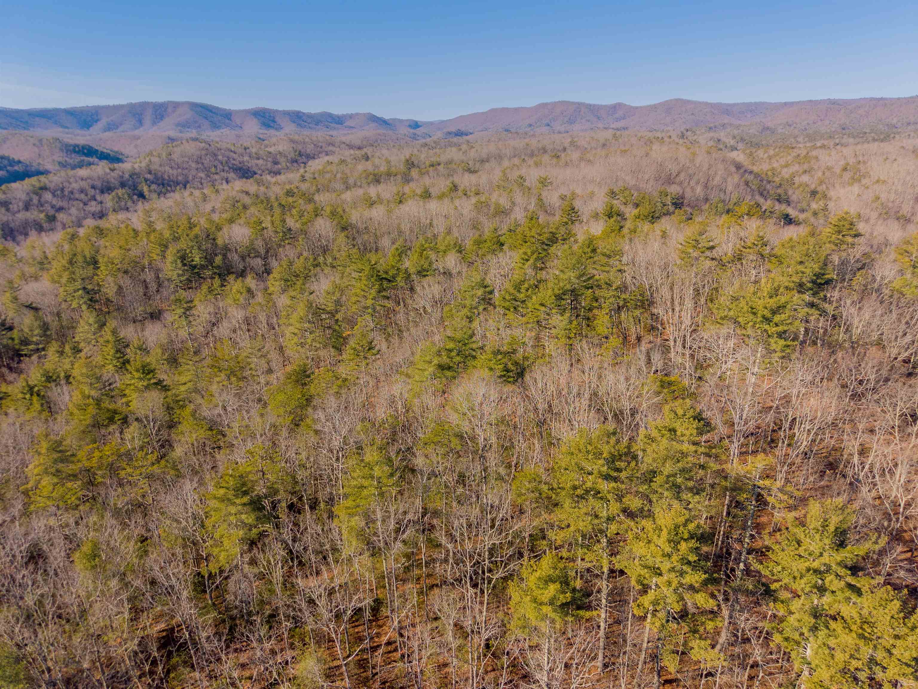 0 Kimberling Road Bland VA 24315