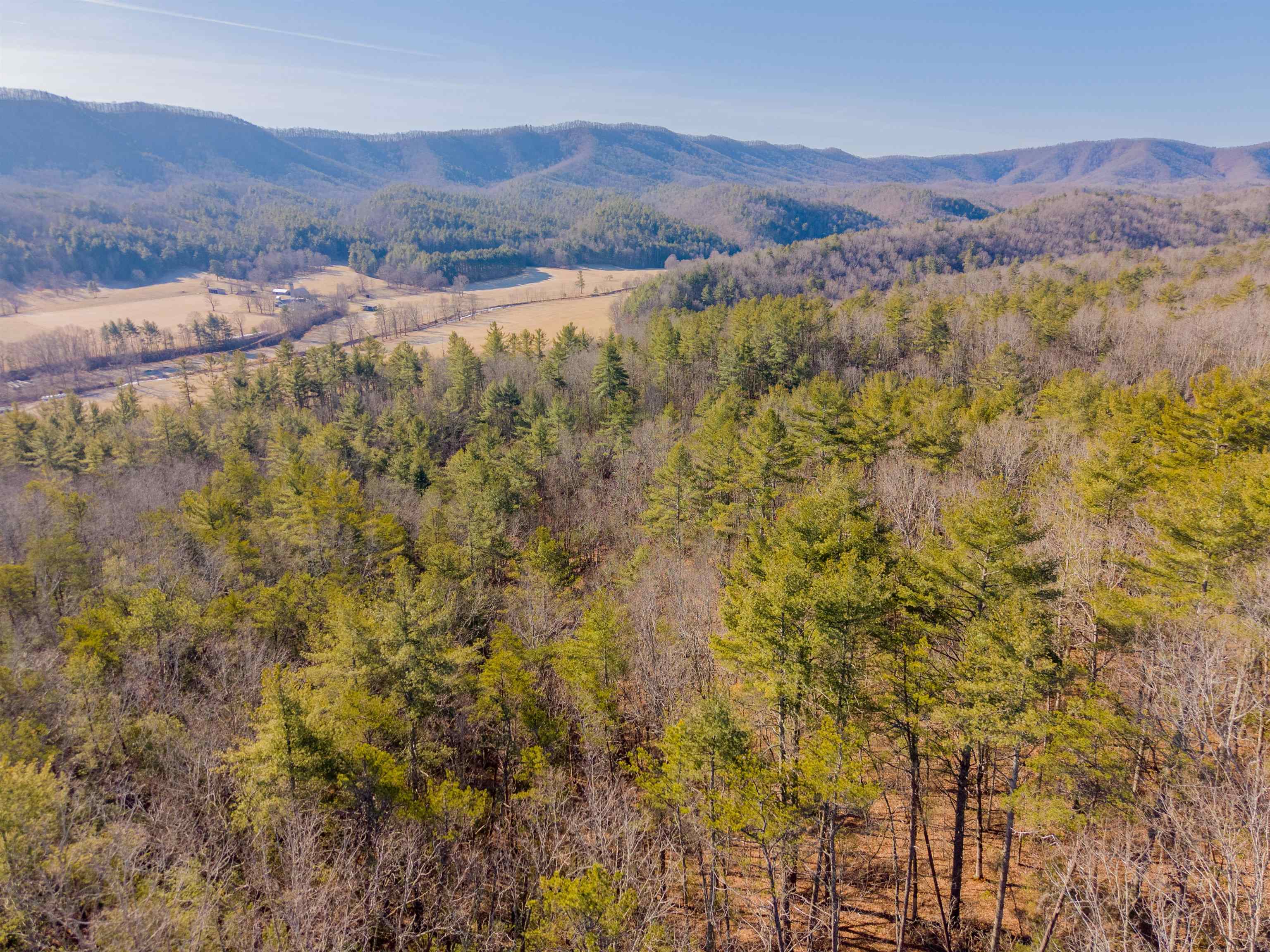 0 Kimberling Road Bland VA 24315