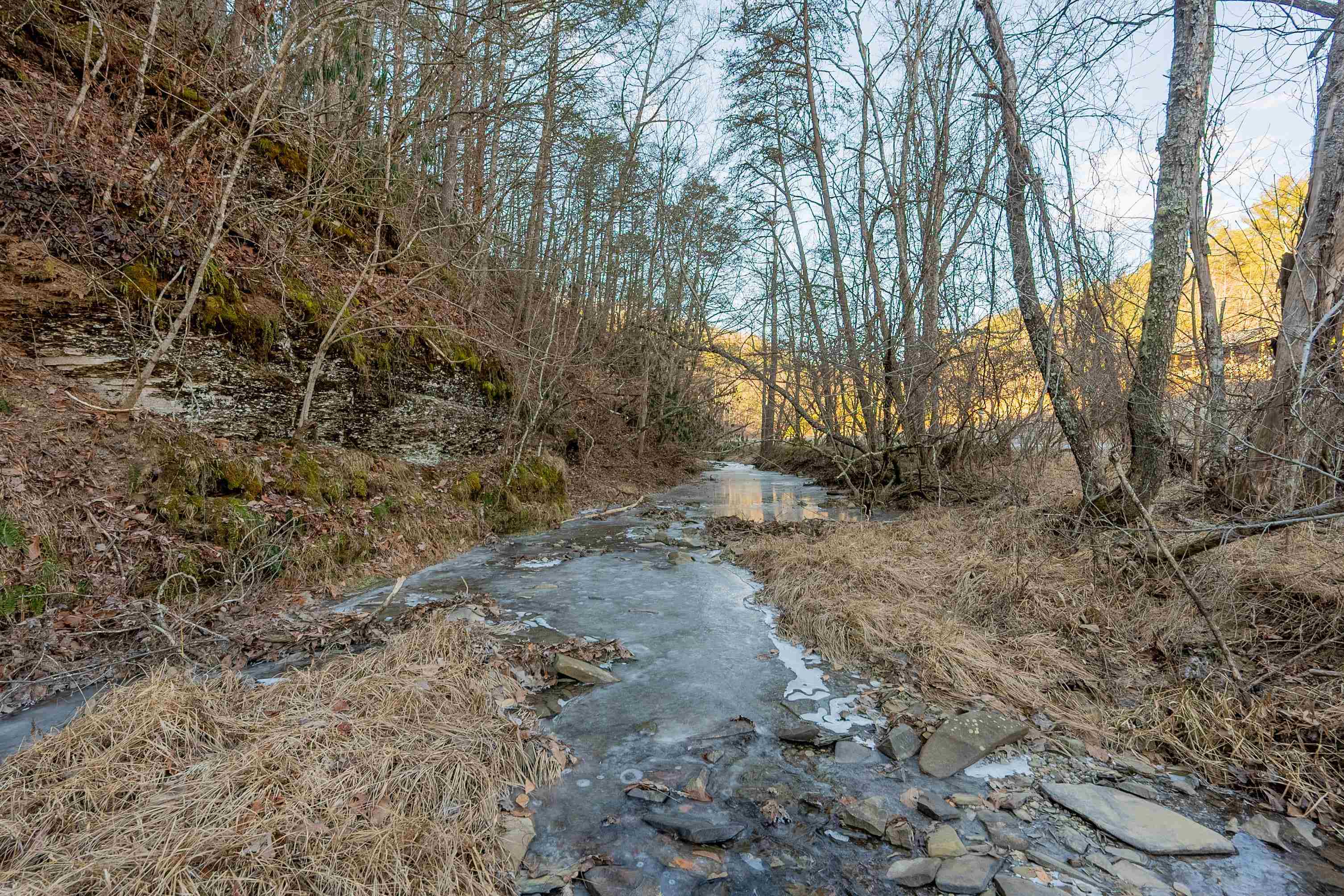 0 Kimberling Road Bland VA 24315