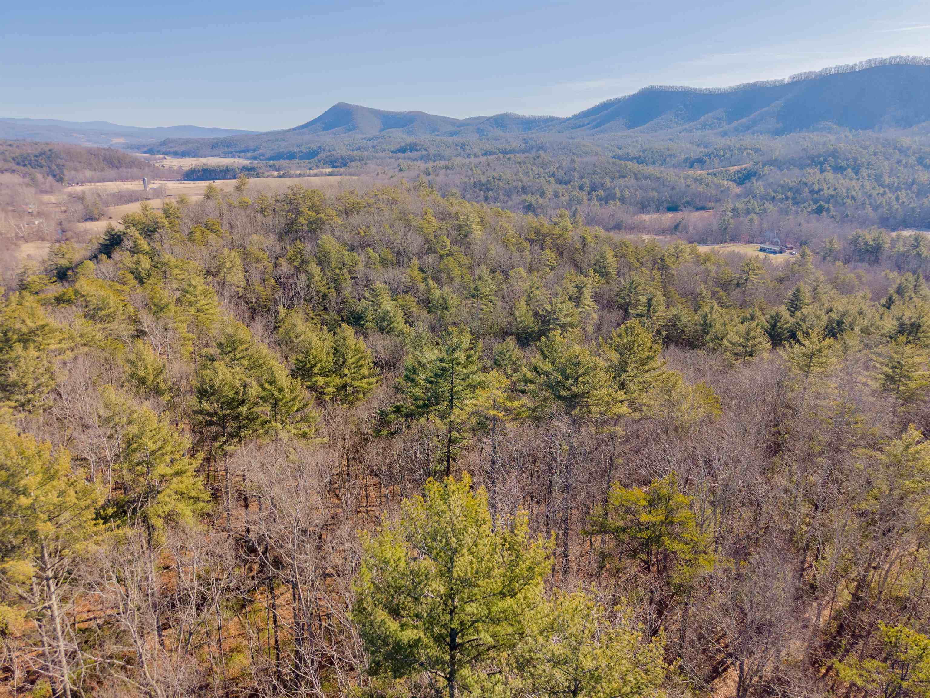 0 Kimberling Road Bland VA 24315