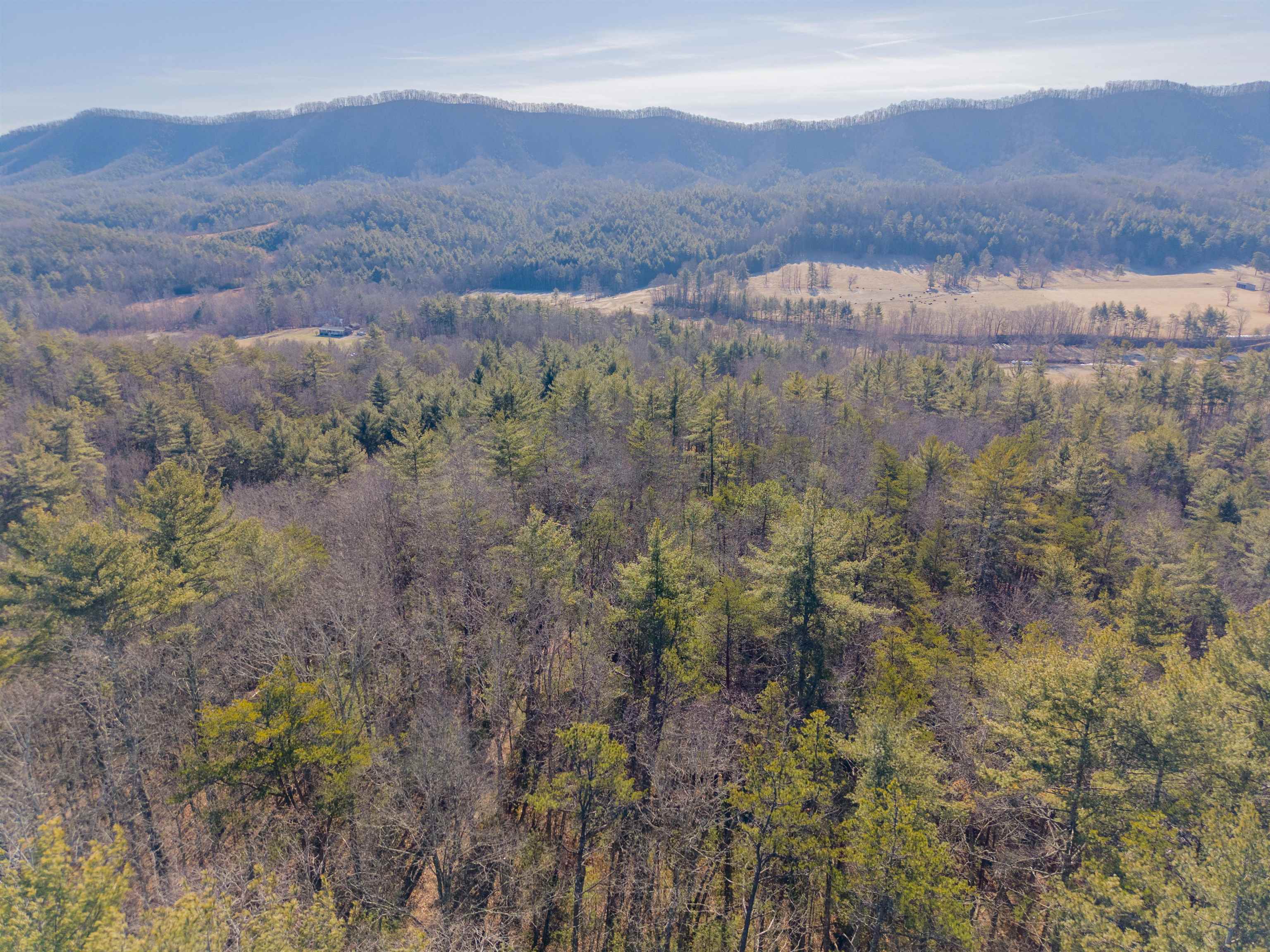 0 Kimberling Road Bland VA 24315