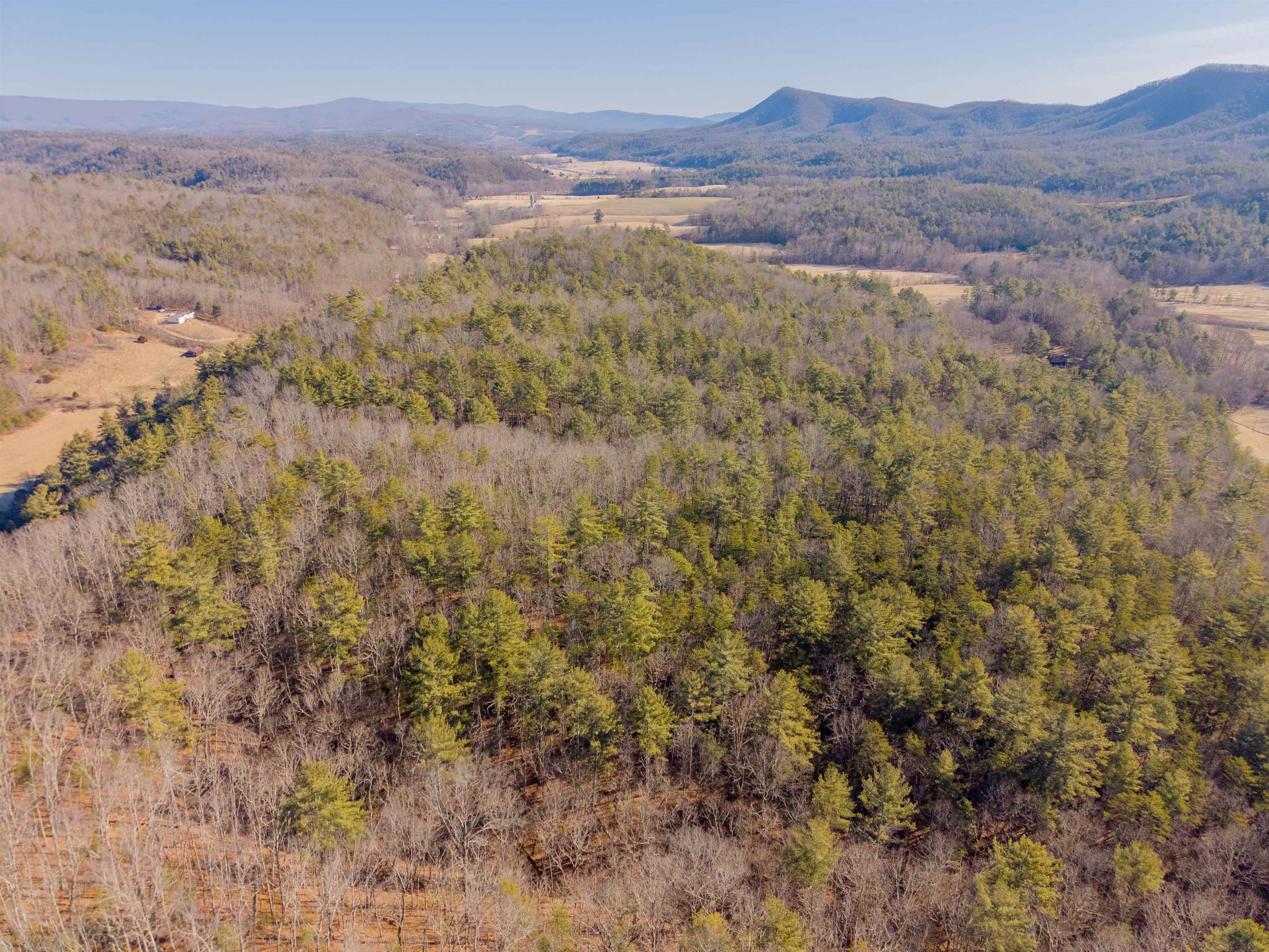 0 Kimberling Road Bland VA 24315