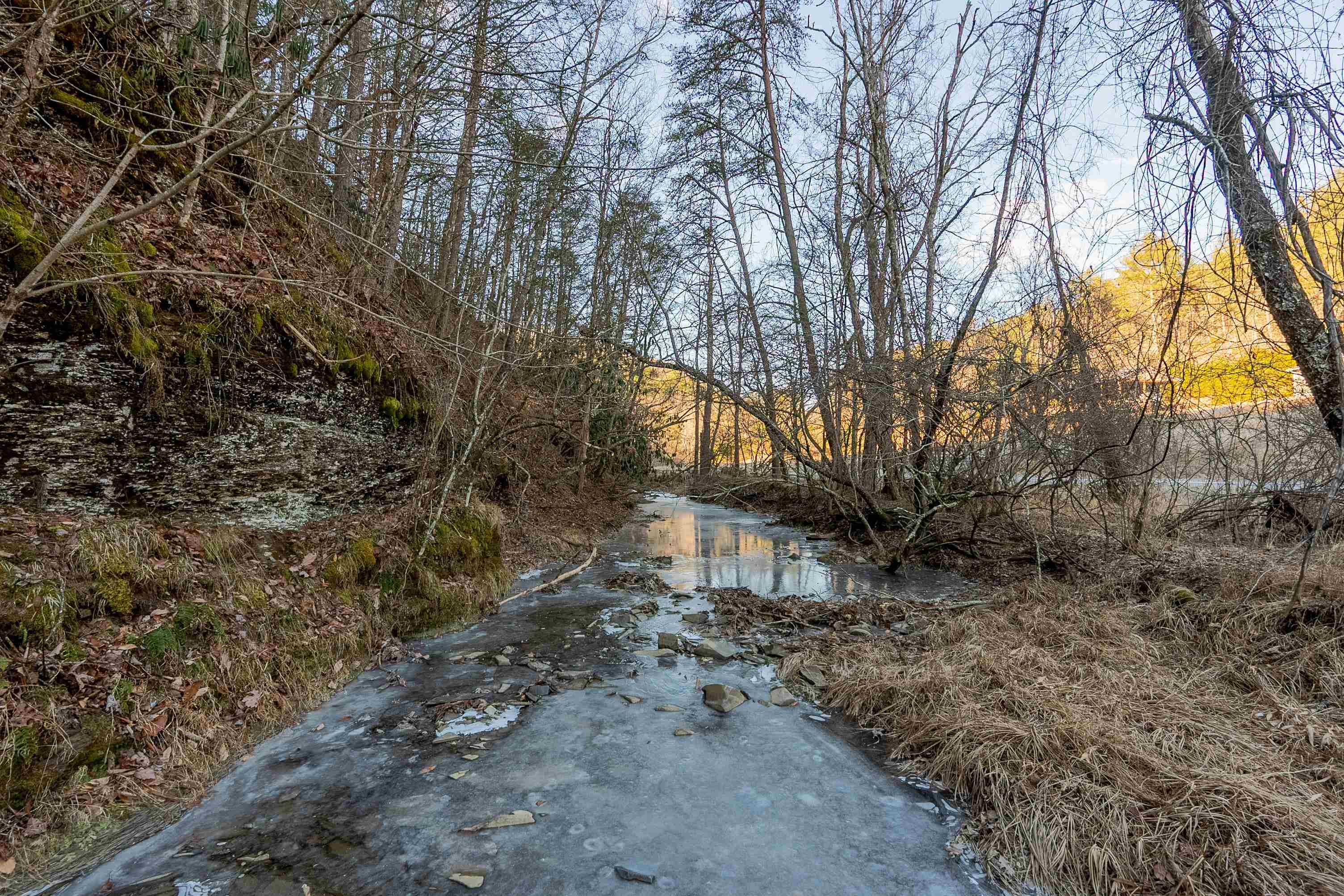 0 Kimberling Road Bland VA 24315