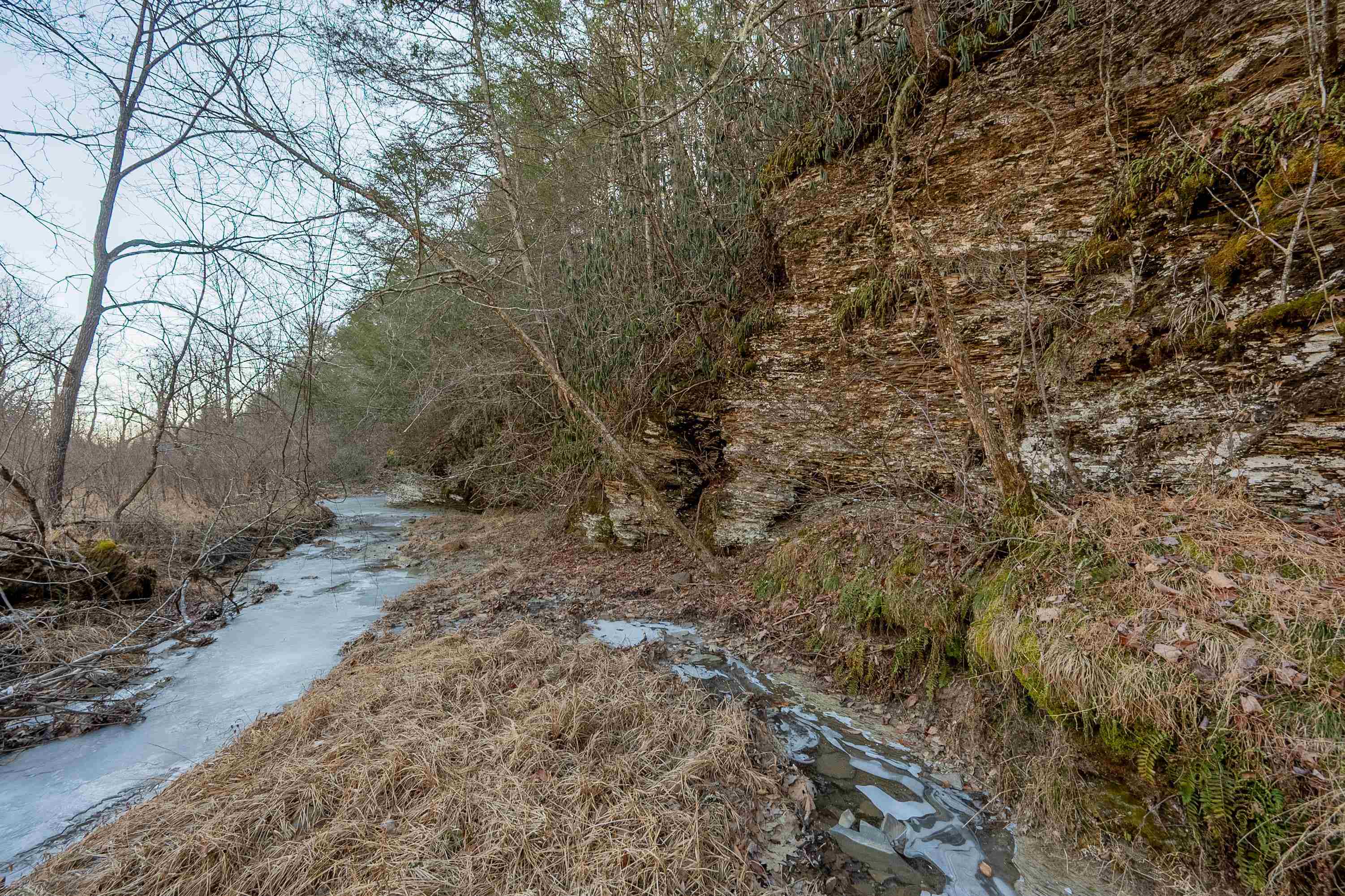 0 Kimberling Road Bland VA 24315