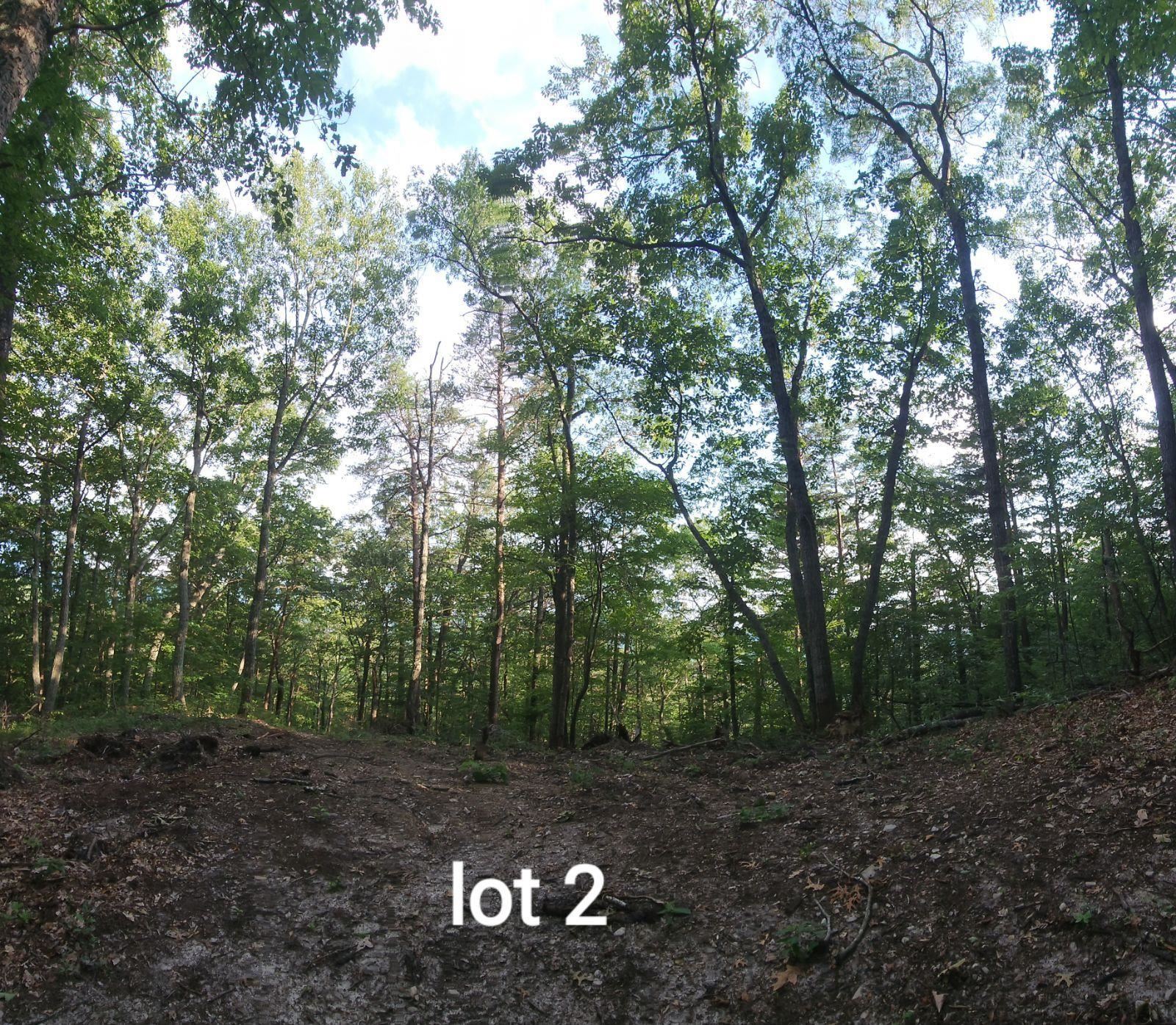 2761 Reese Mountain Road Elliston VA 24087