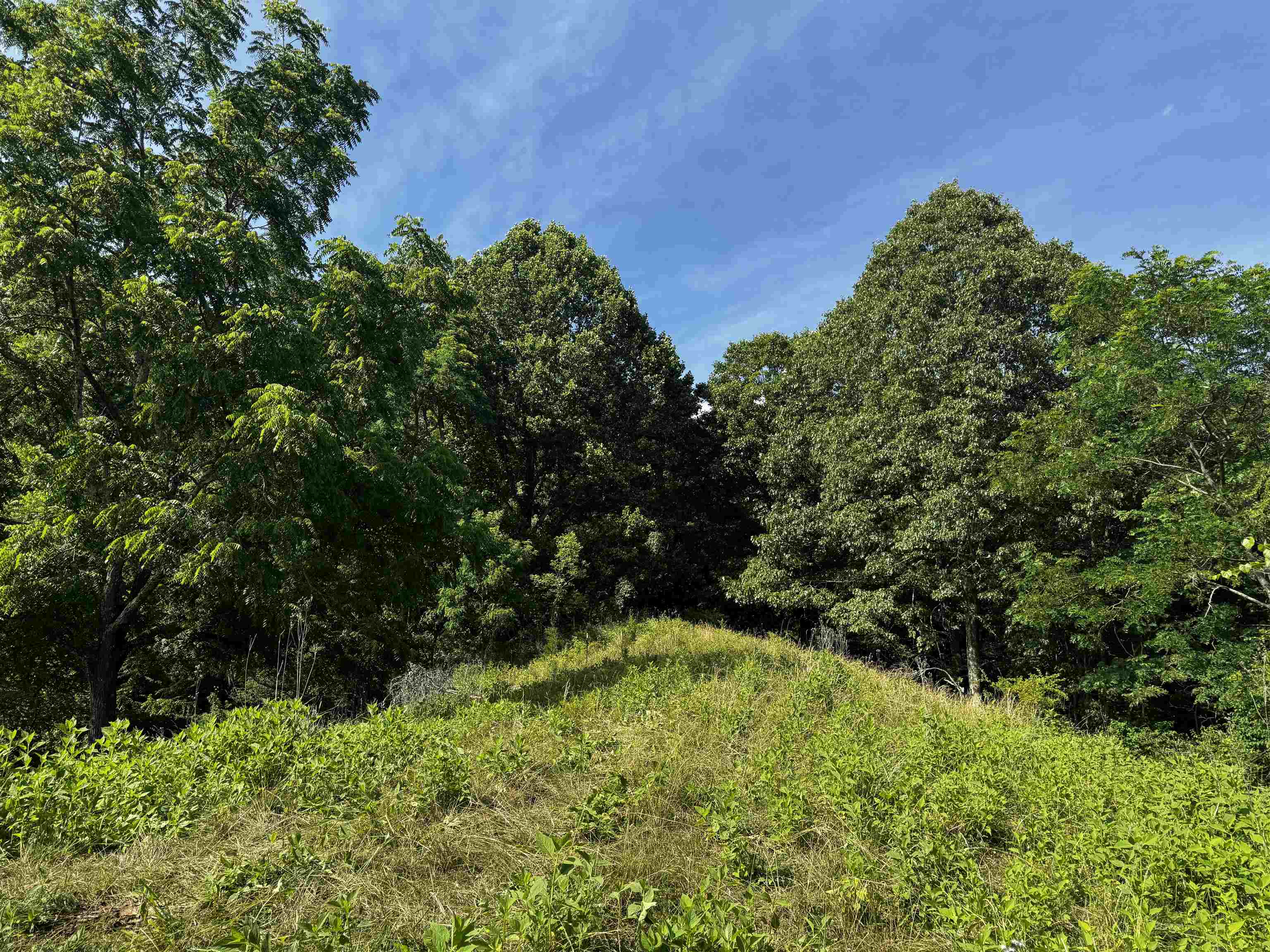 Tbd Laurel Springs Road Newport VA 24128