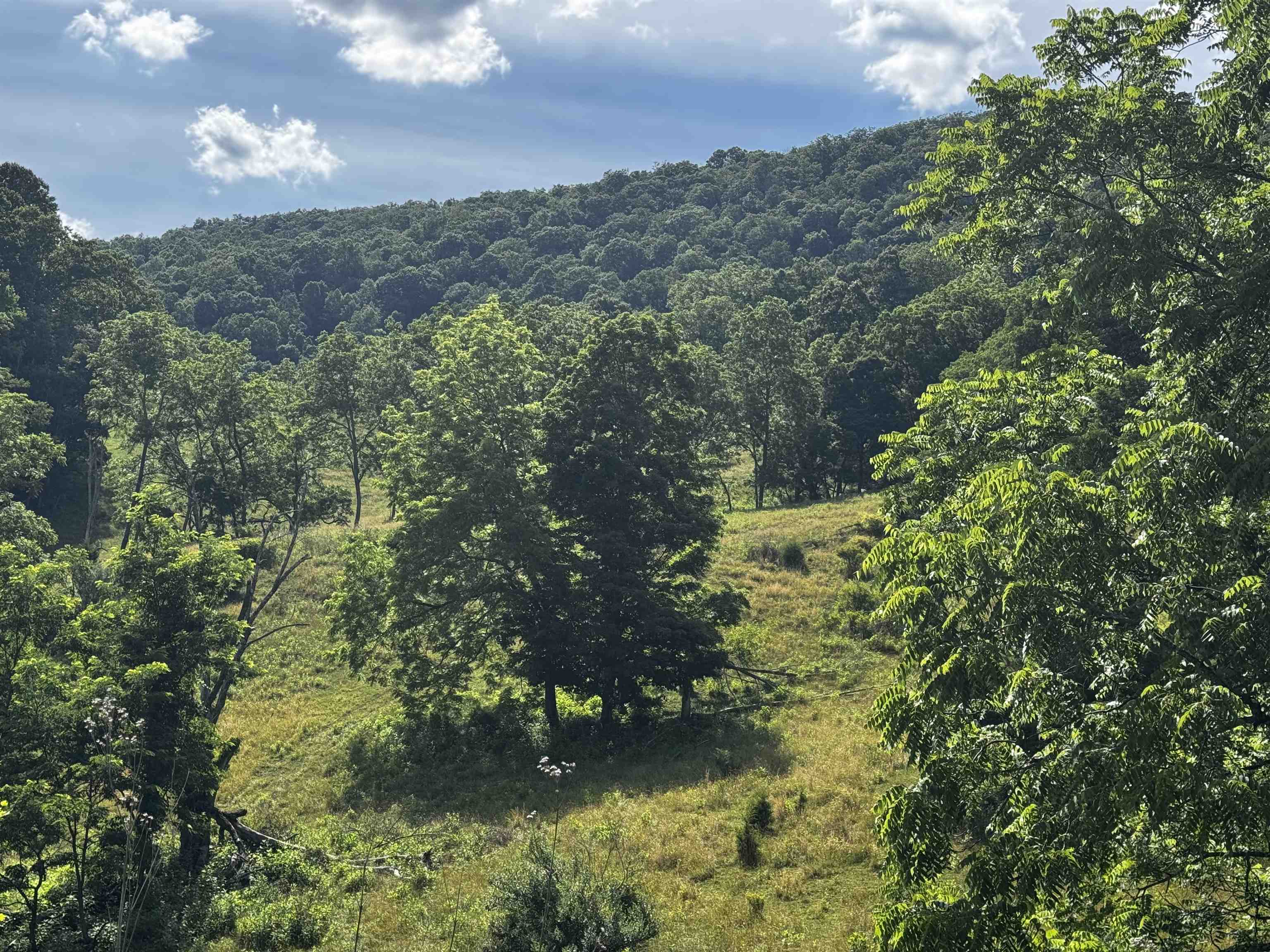 Tbd Laurel Springs Road Newport VA 24128