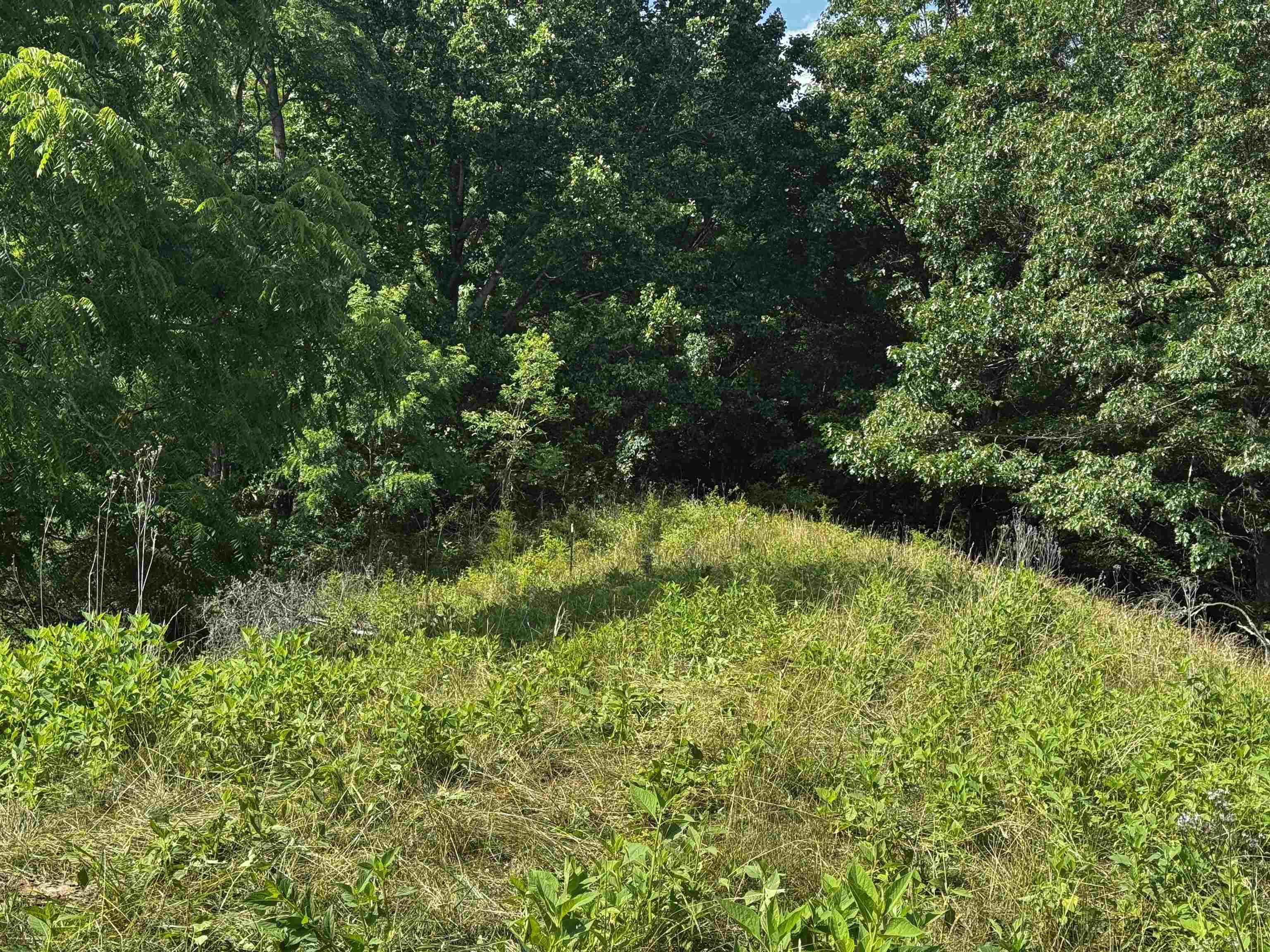 Tbd Laurel Springs Road Newport VA 24128