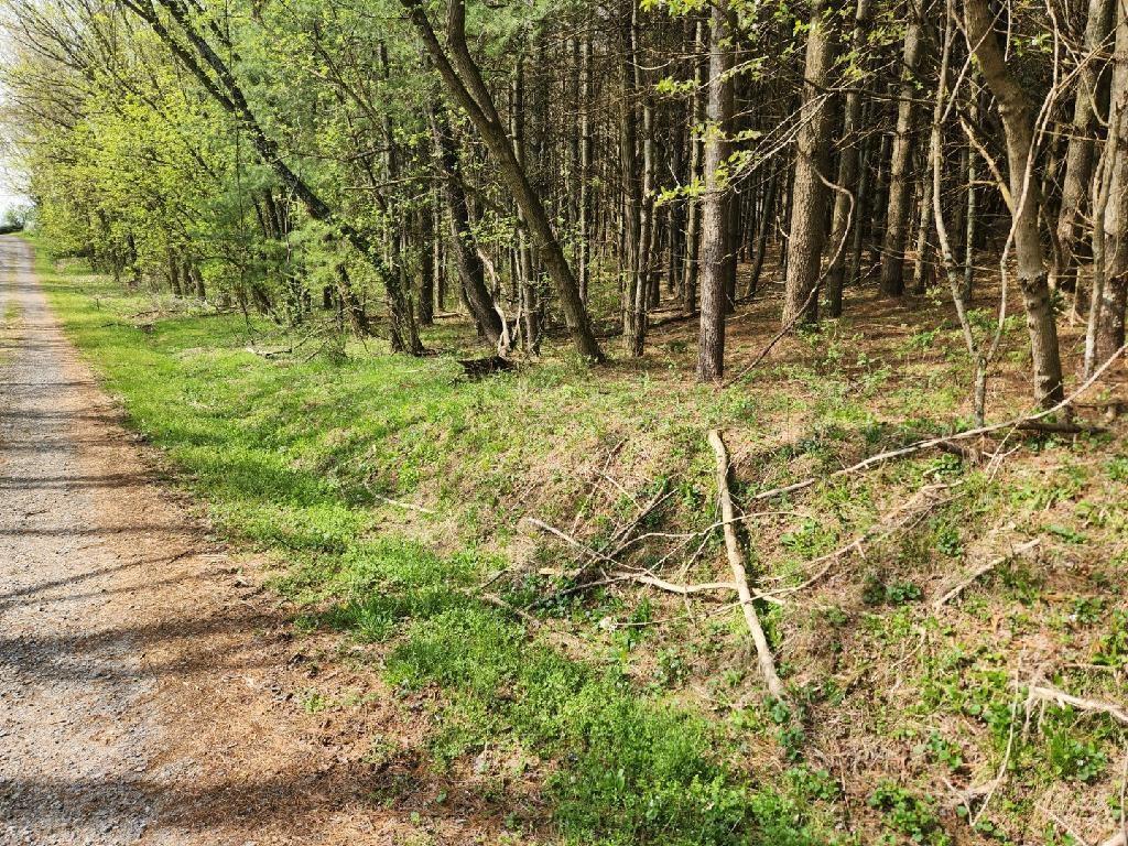 Tbd Allis Chamlers Road Rural Retreat VA 24368