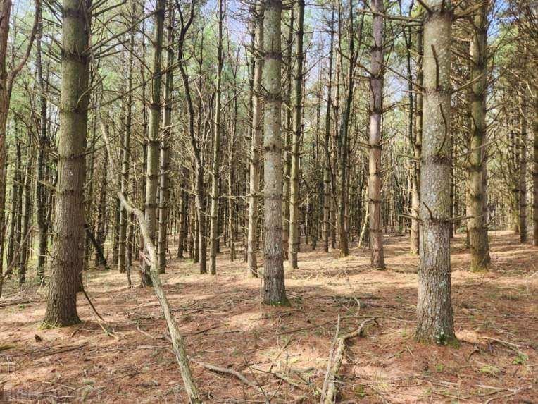 Tbd Allis Chamlers Road Rural Retreat VA 24368