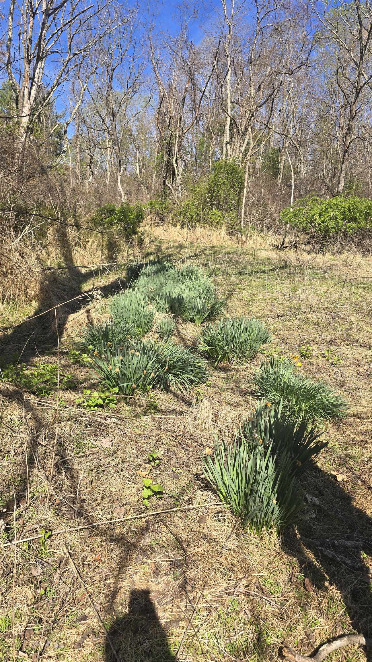 Tbd Huffville Road Pilot VA 24138
