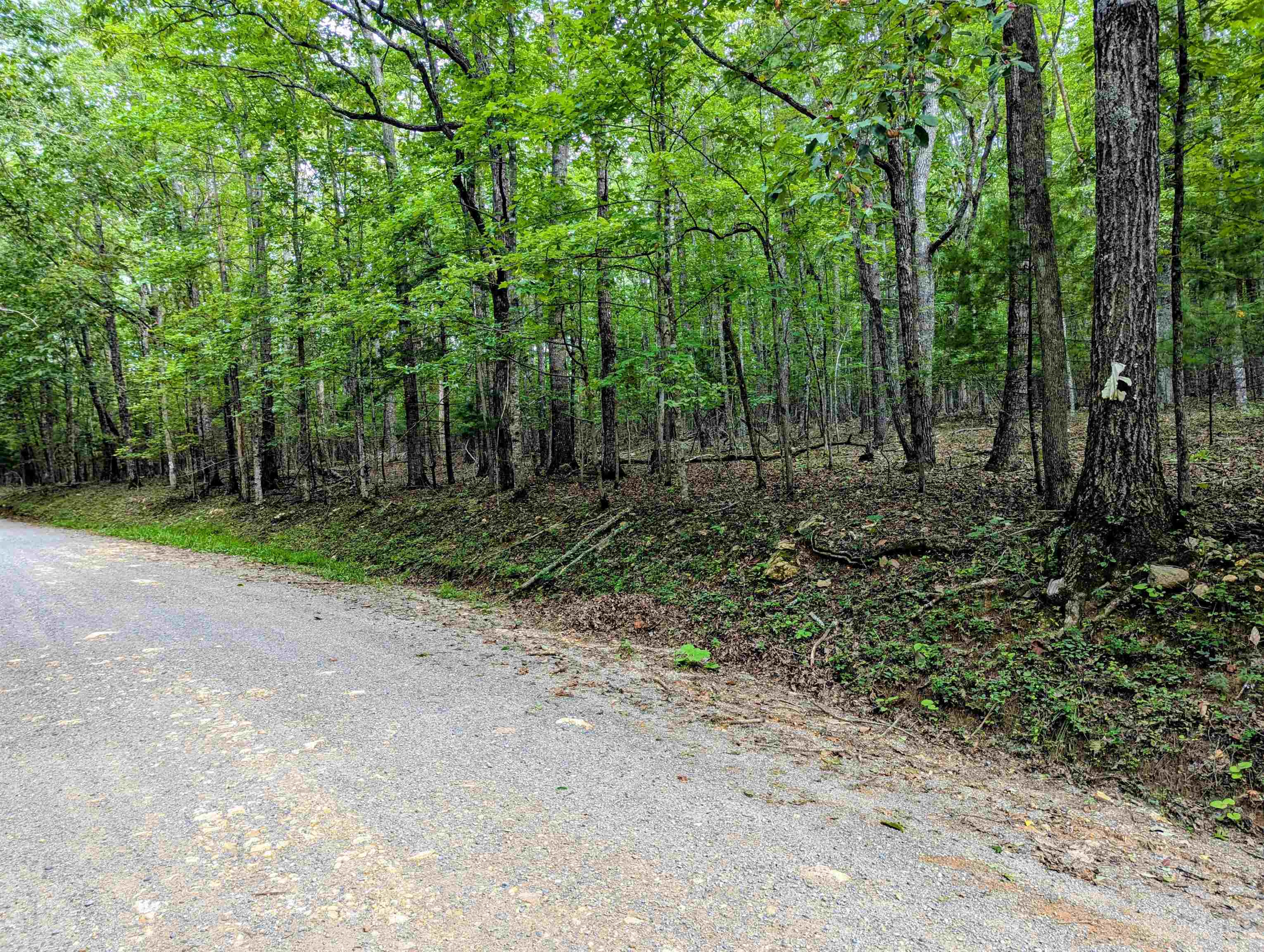 Tbd Cannady School Road Floyd VA 24091