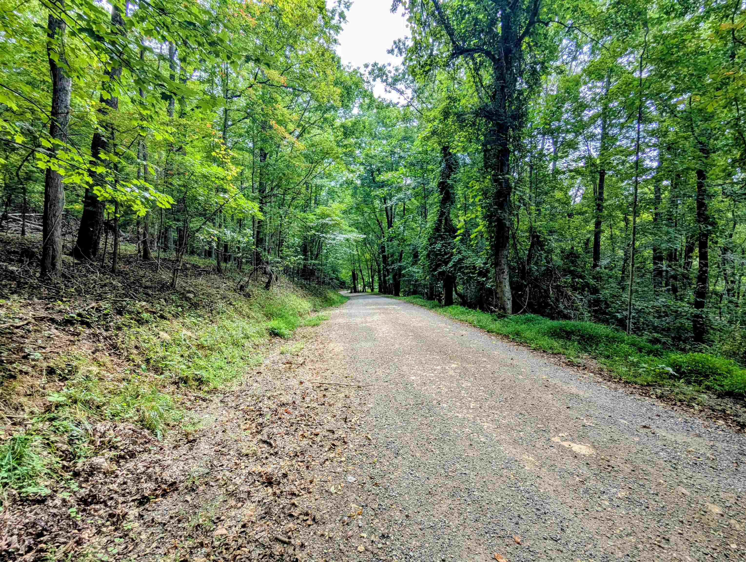 Tbd Cannady School Road Floyd VA 24091