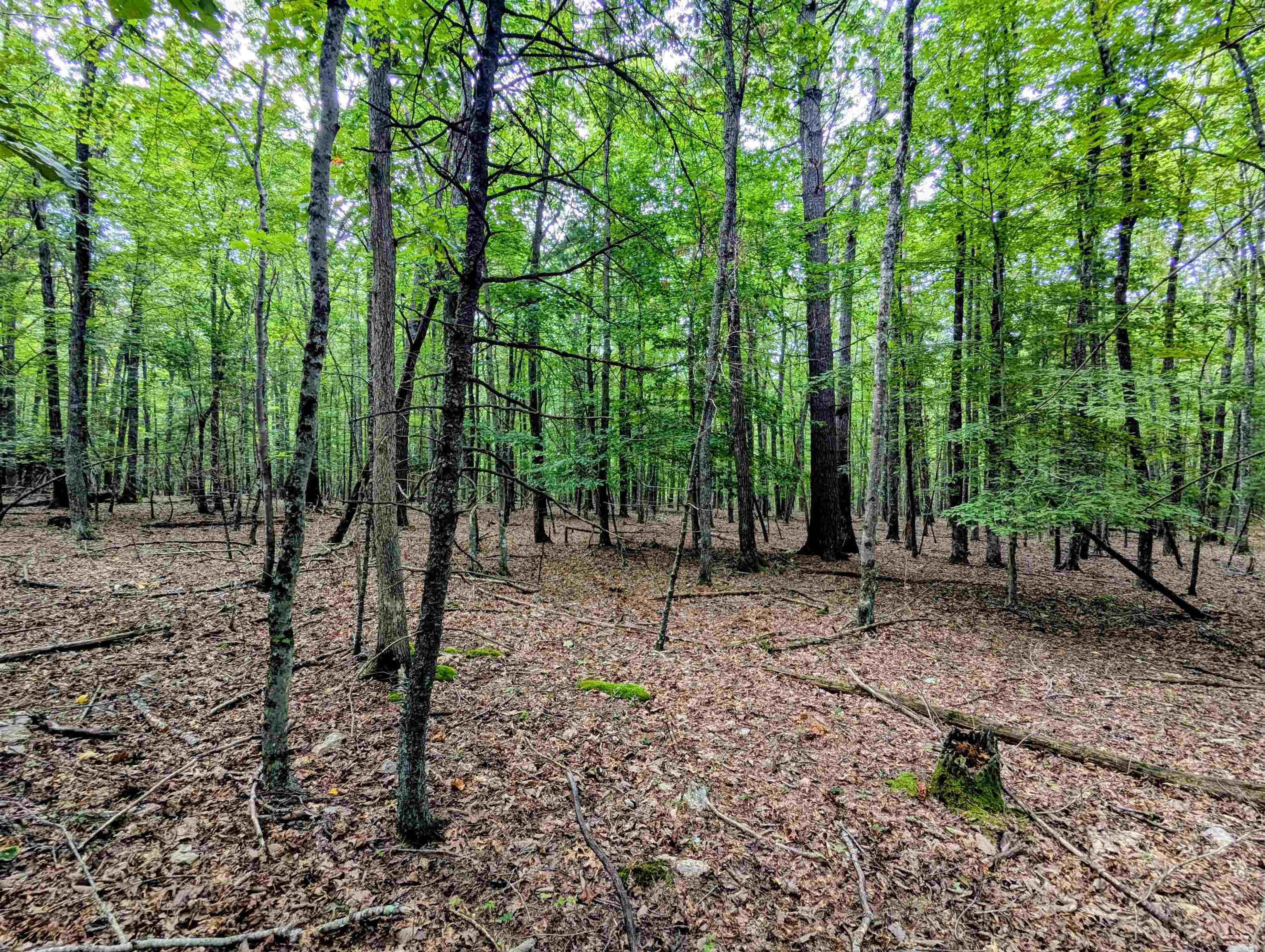 Tbd Cannady School Road Floyd VA 24091