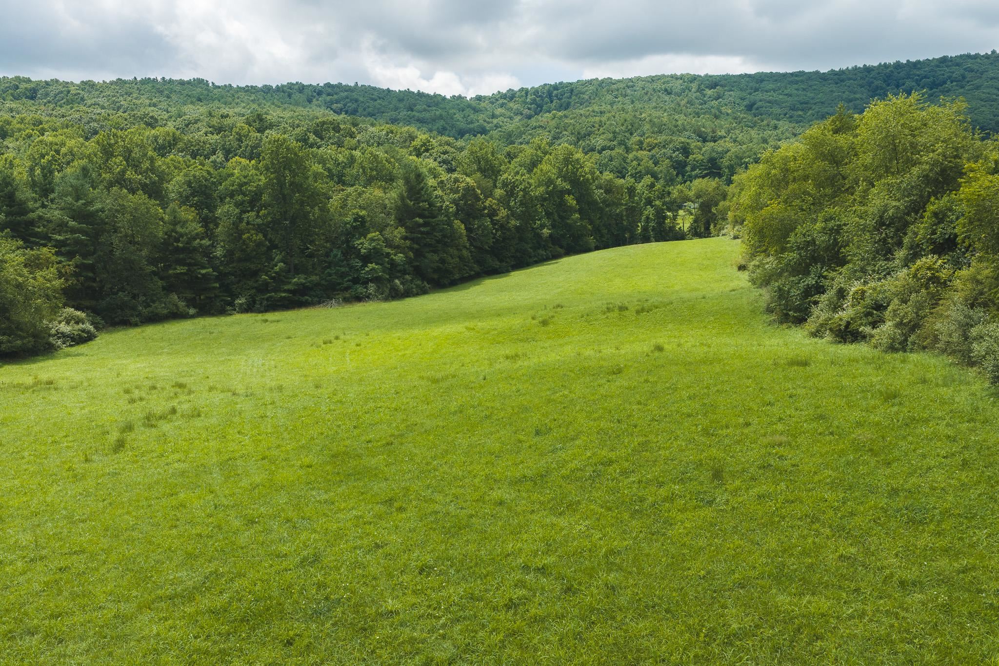 Lot 2 Ridgeview Road Floyd VA 24091