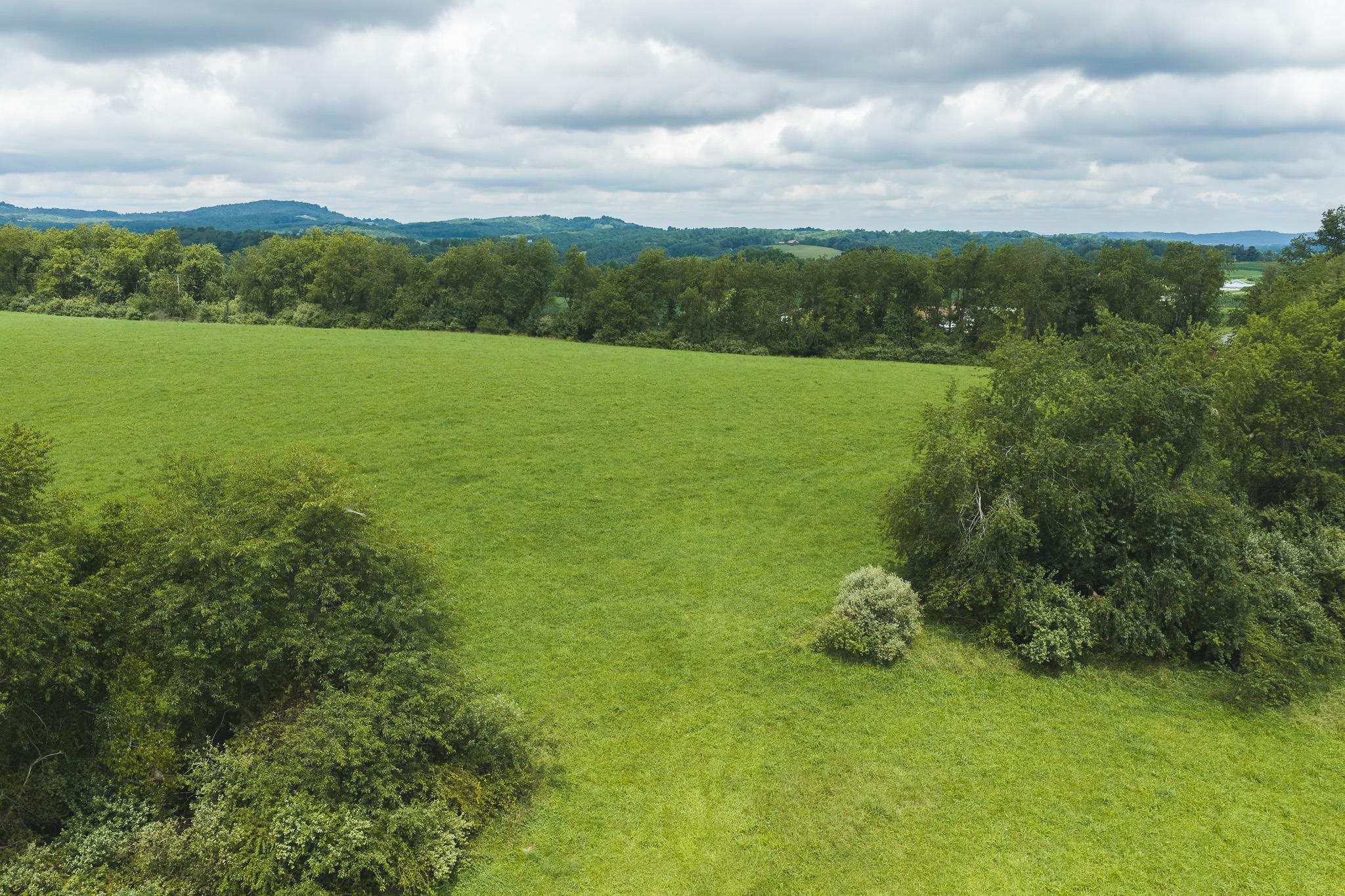 Lot 2 Ridgeview Road Floyd VA 24091