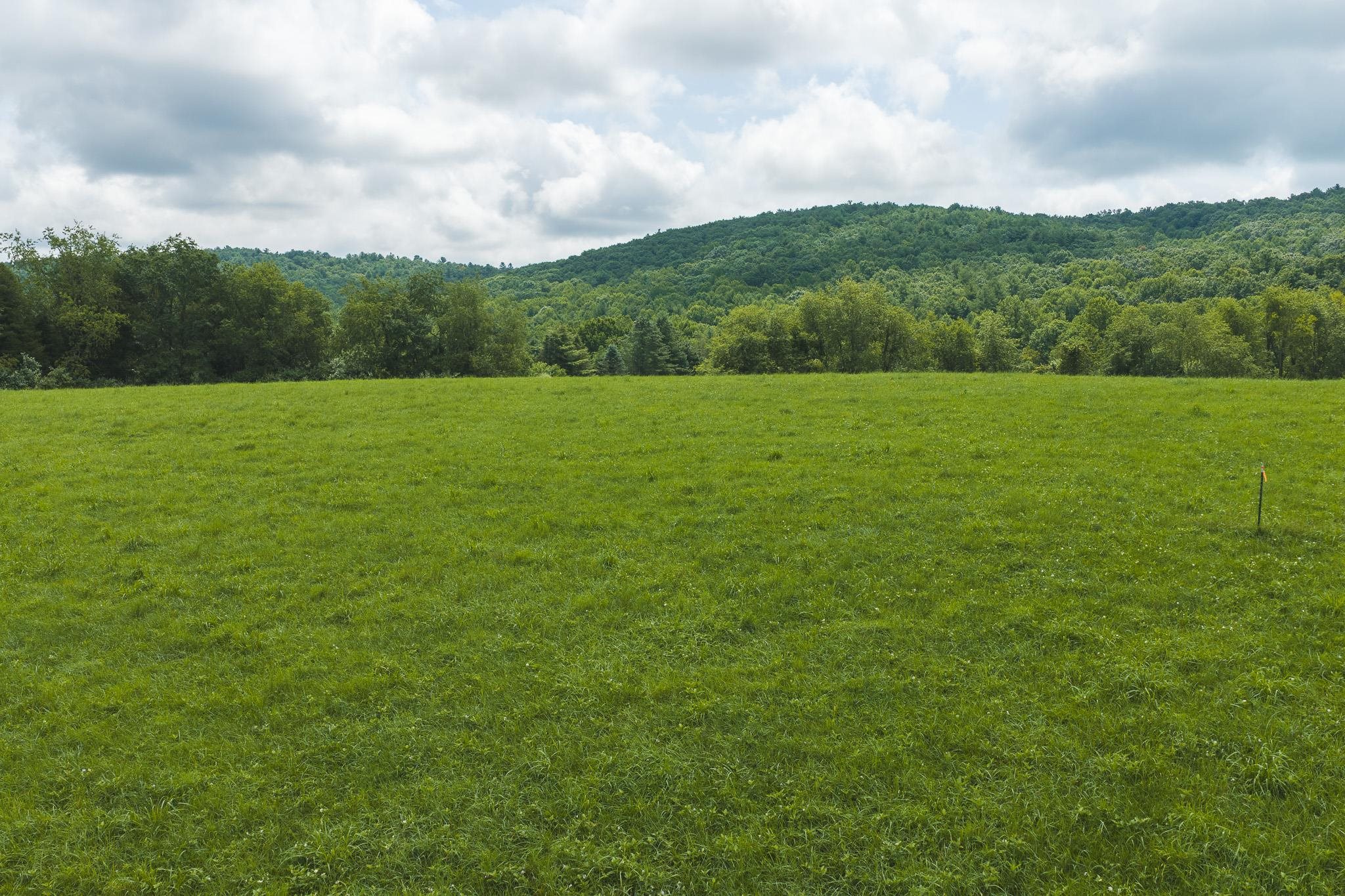 Lot 2 Ridgeview Road Floyd VA 24091