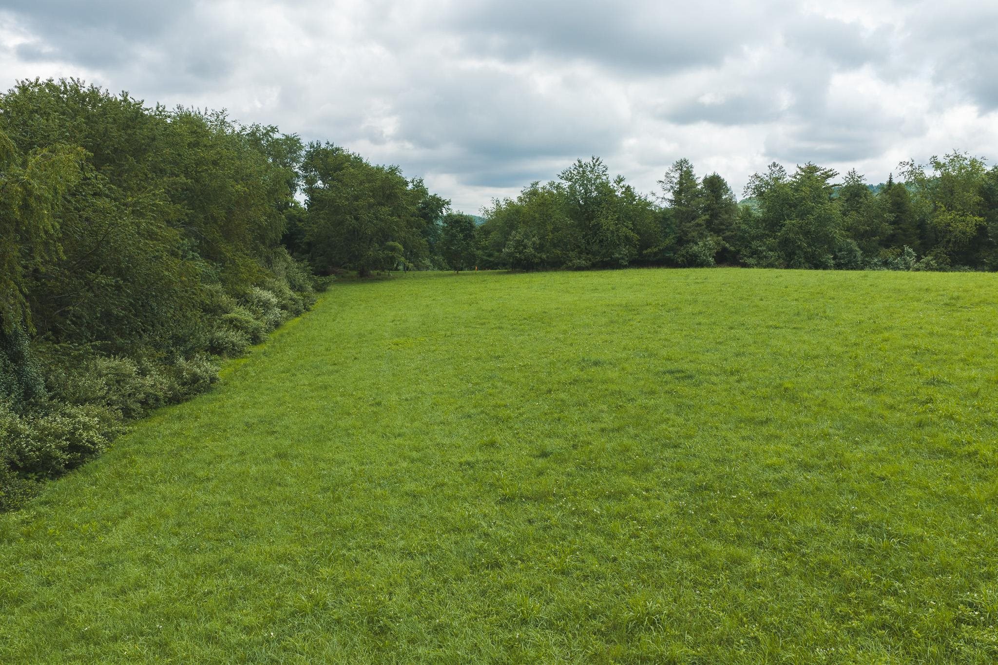Lot 2 Ridgeview Road Floyd VA 24091