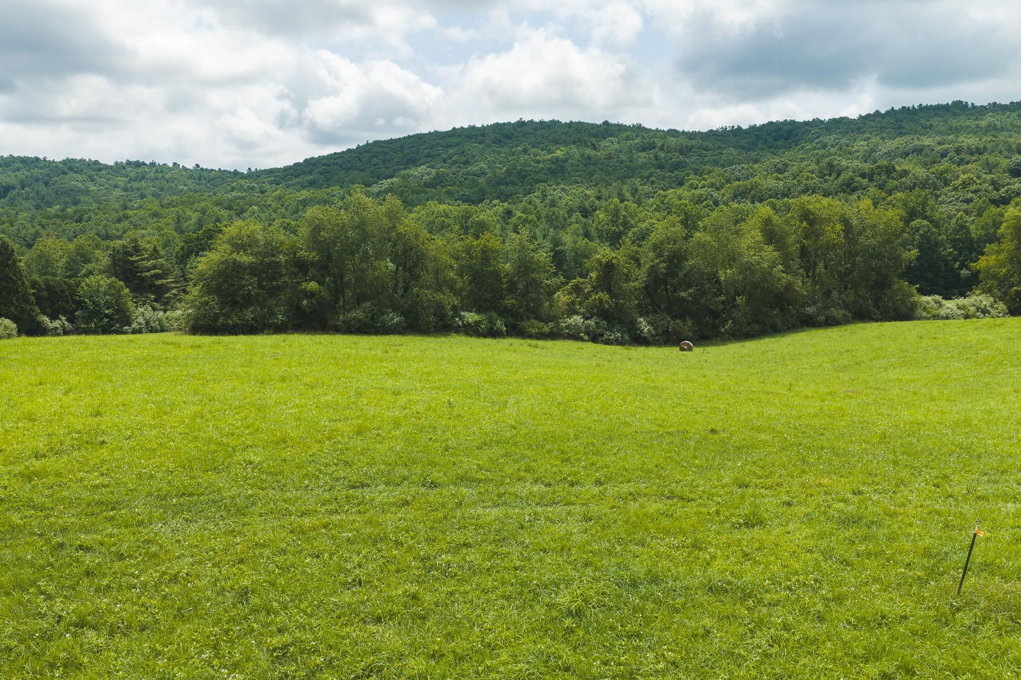 Lot 2 Ridgeview Road Floyd VA 24091