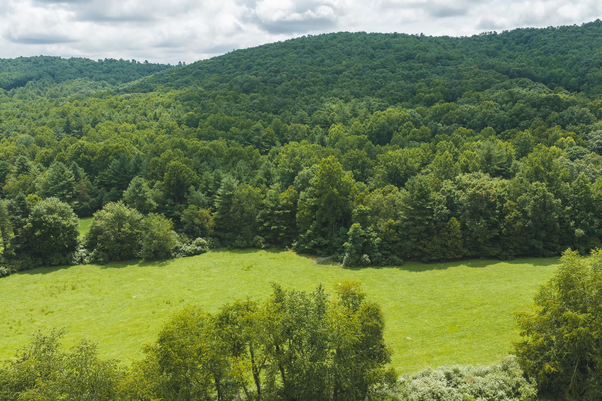 Lot 2 Ridgeview Road Floyd VA 24091