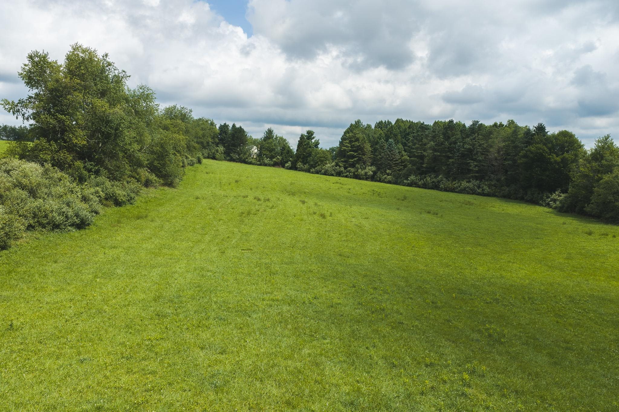 Lot 2 Ridgeview Road Floyd VA 24091