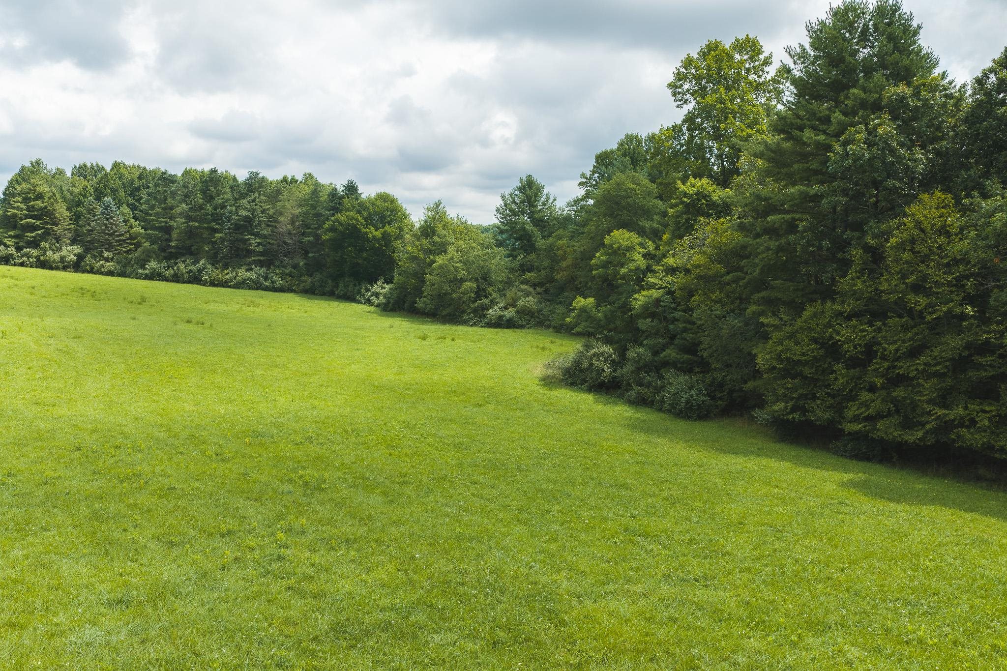 Lot 2 Ridgeview Road Floyd VA 24091