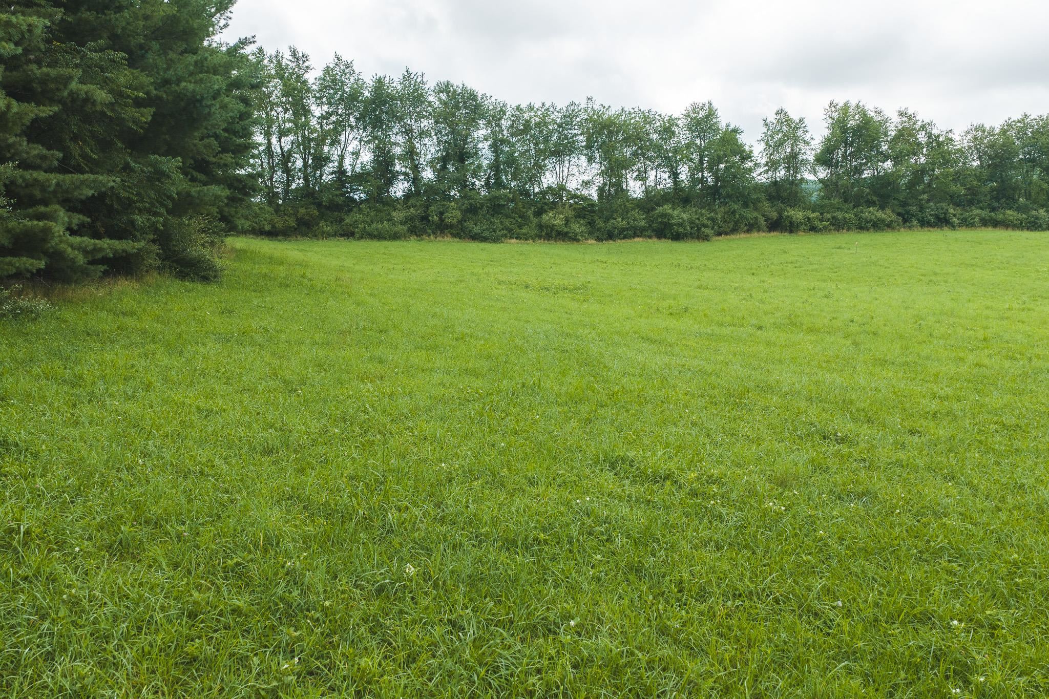 Lot 2 Ridgeview Road Floyd VA 24091