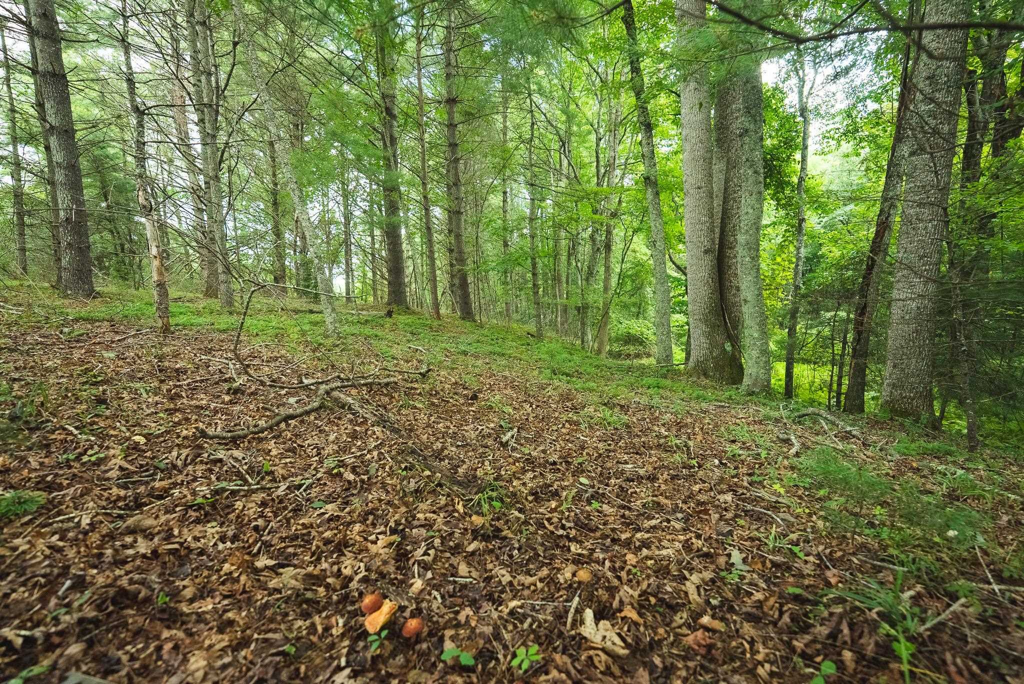 Lot 2 Ridgeview Road Floyd VA 24091