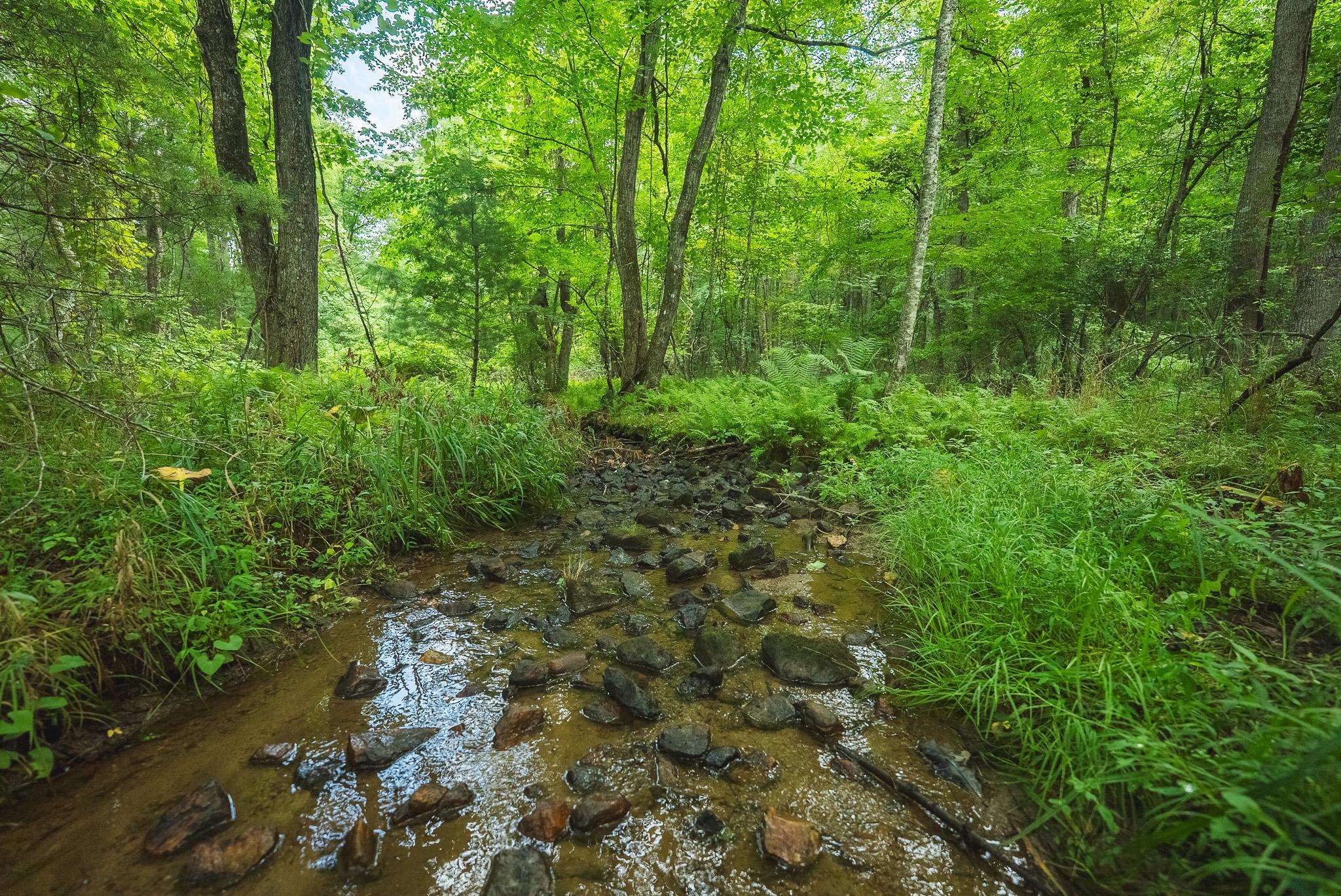 Lot 2 Ridgeview Road Floyd VA 24091