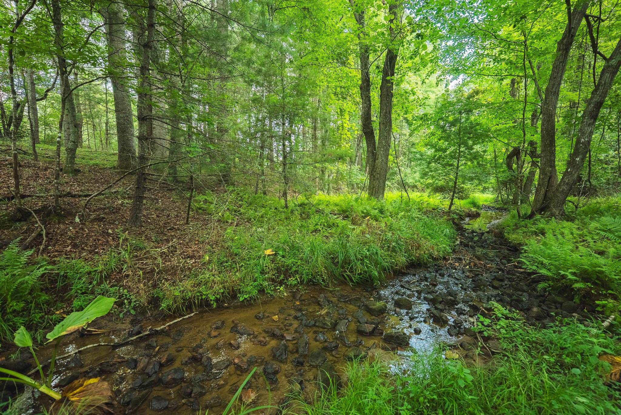 Lot 2 Ridgeview Road Floyd VA 24091