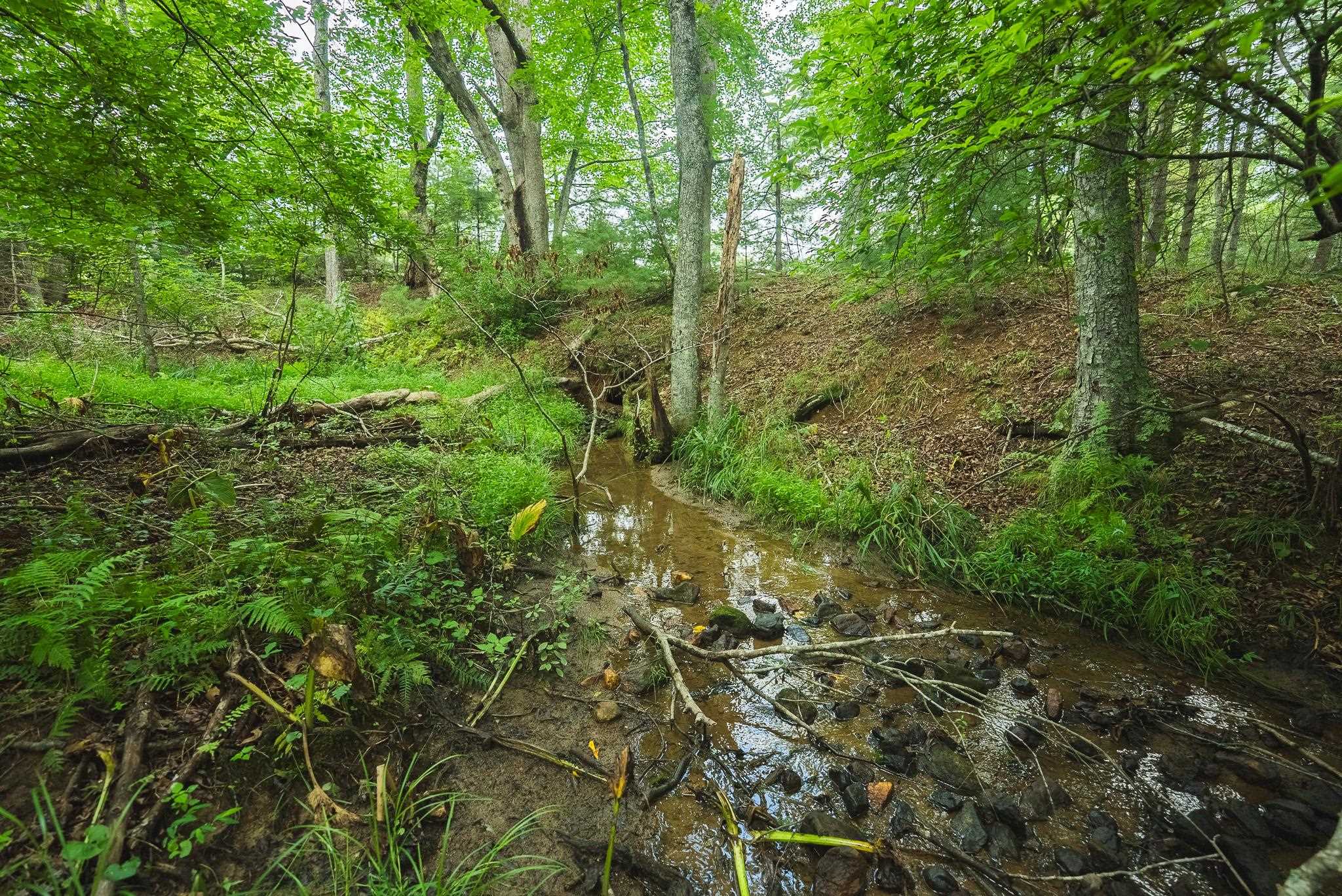 Lot 2 Ridgeview Road Floyd VA 24091