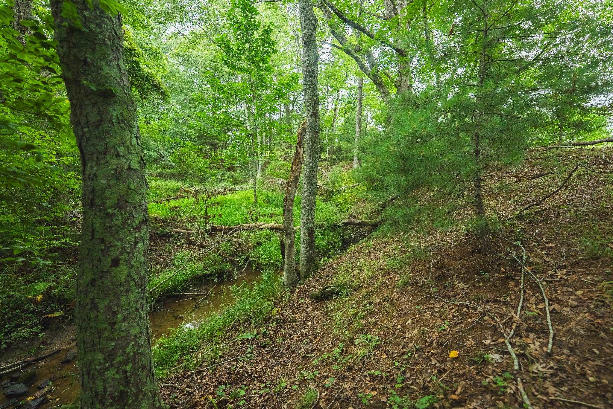 Lot 2 Ridgeview Road Floyd VA 24091