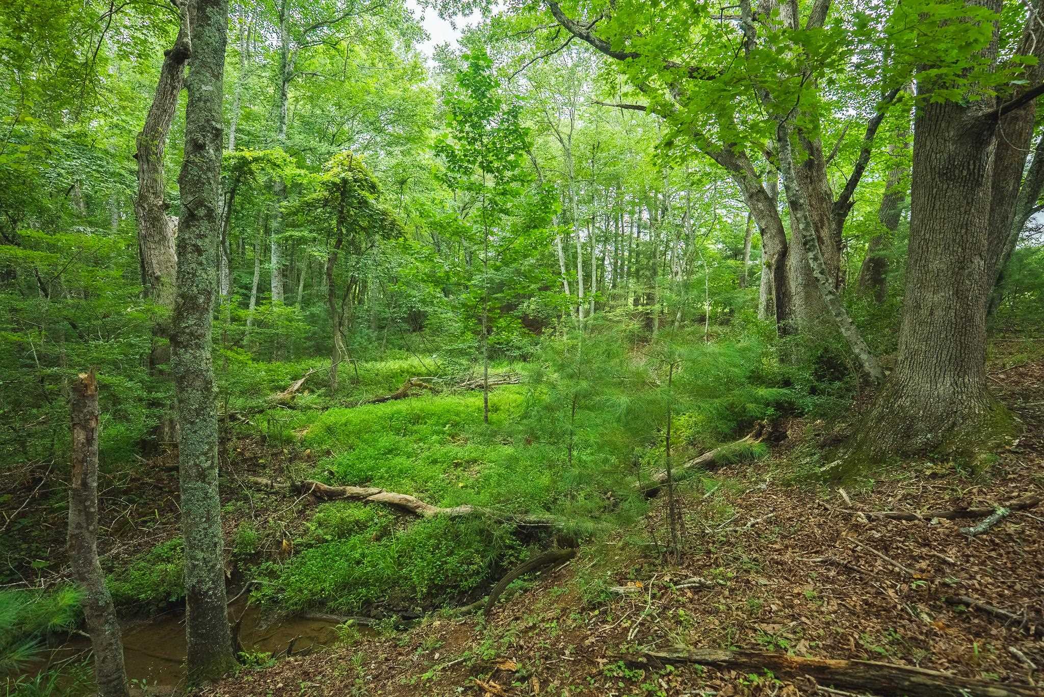 Lot 2 Ridgeview Road Floyd VA 24091