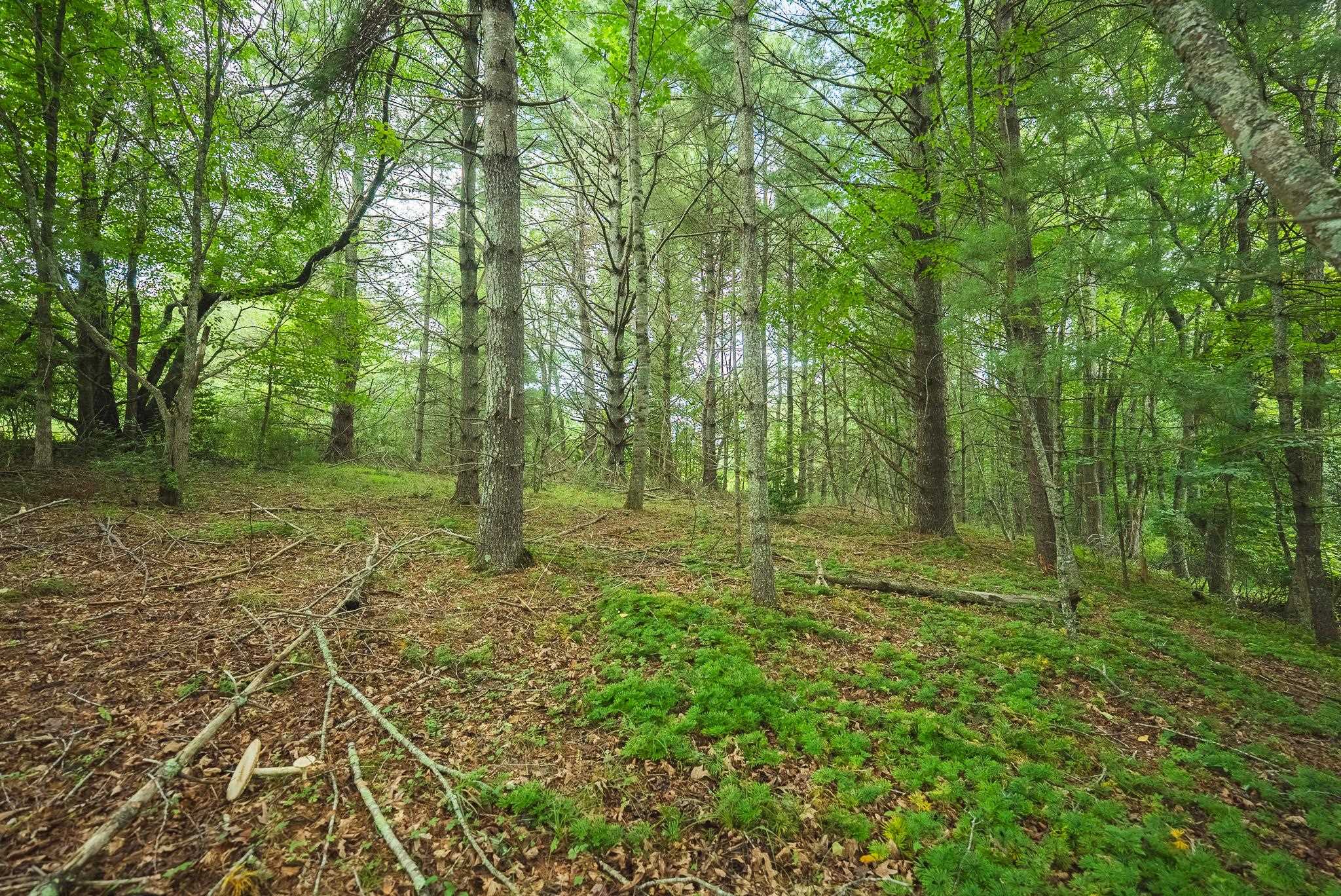 Lot 2 Ridgeview Road Floyd VA 24091