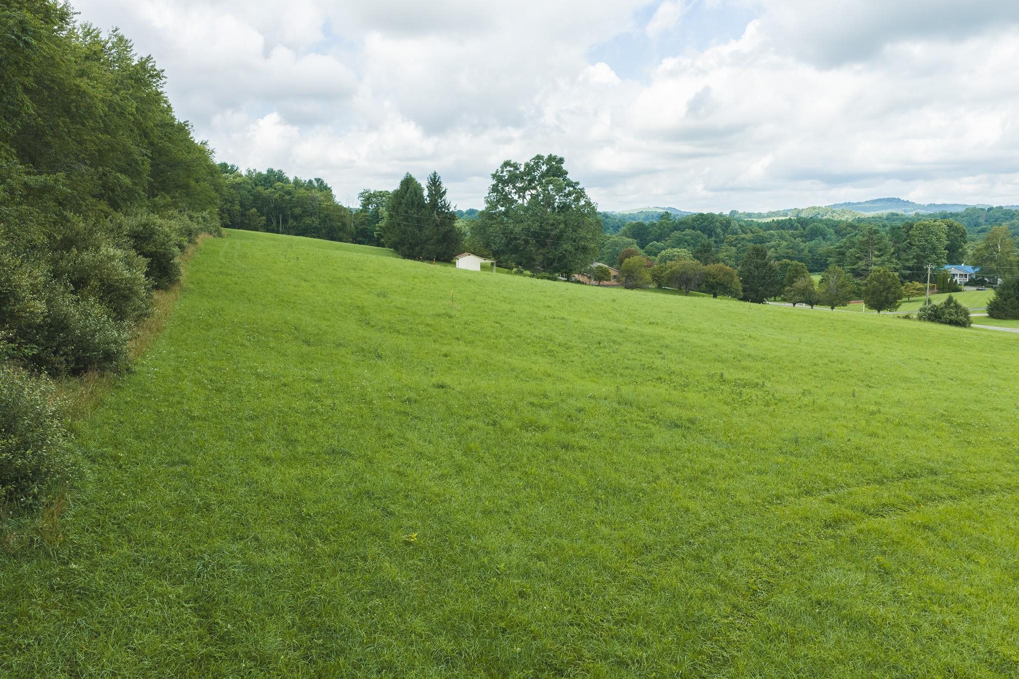 Lot 2 Ridgeview Road Floyd VA 24091