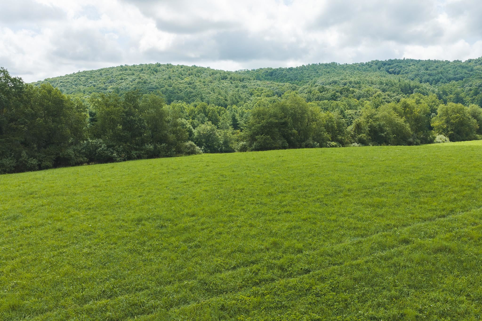 Lot 2 Ridgeview Road Floyd VA 24091