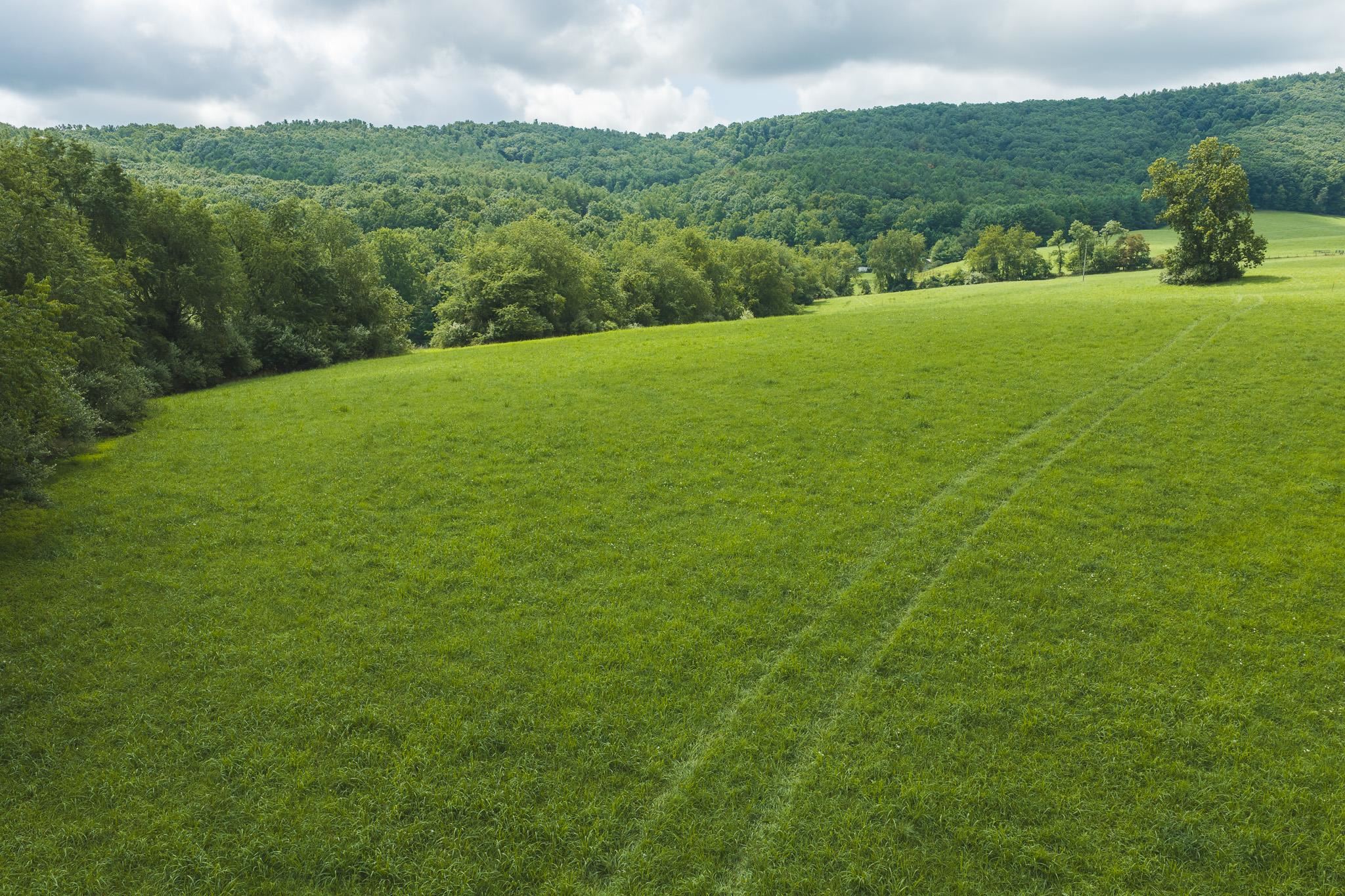 Lot 2 Ridgeview Road Floyd VA 24091