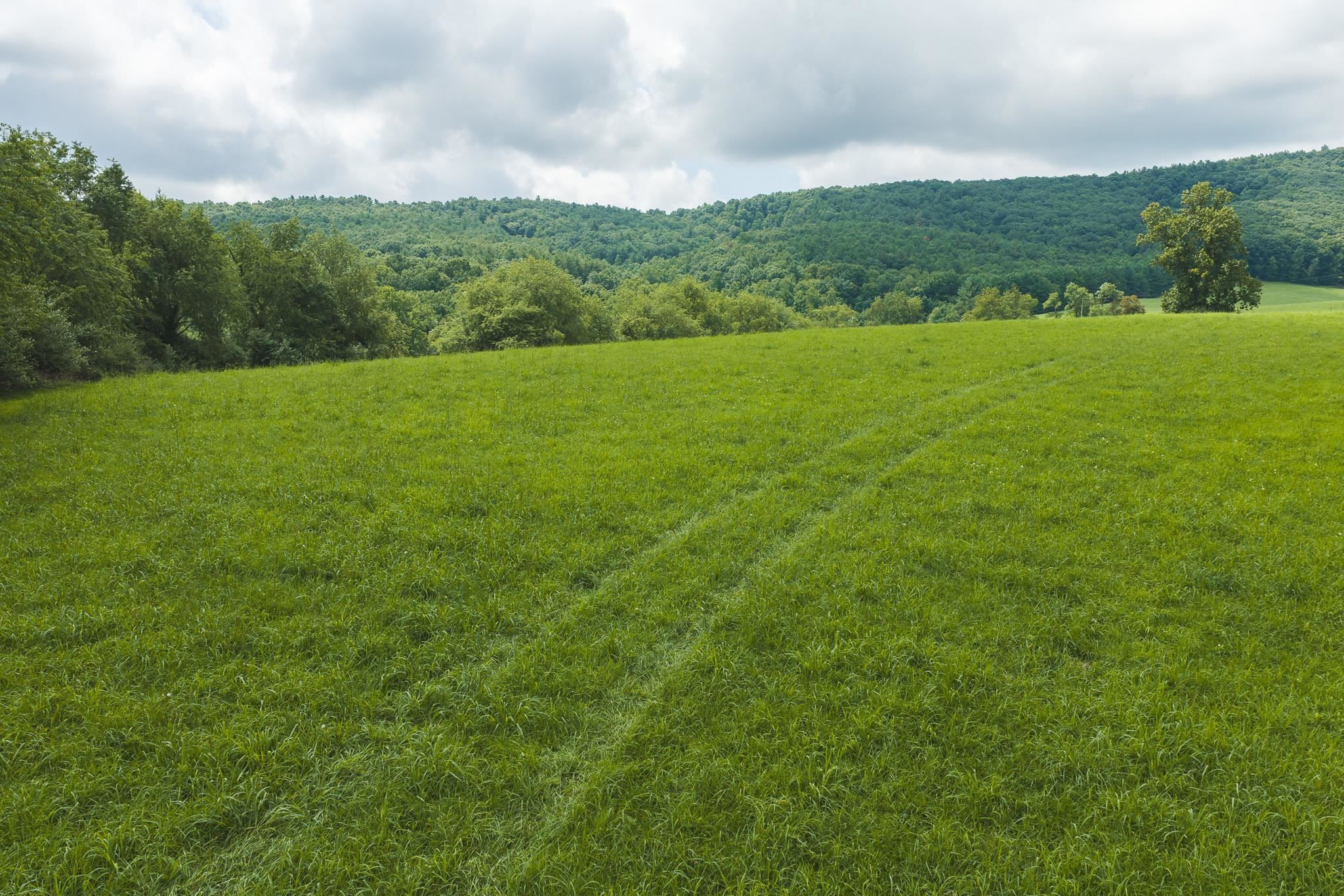 Lot 2 Ridgeview Road Floyd VA 24091