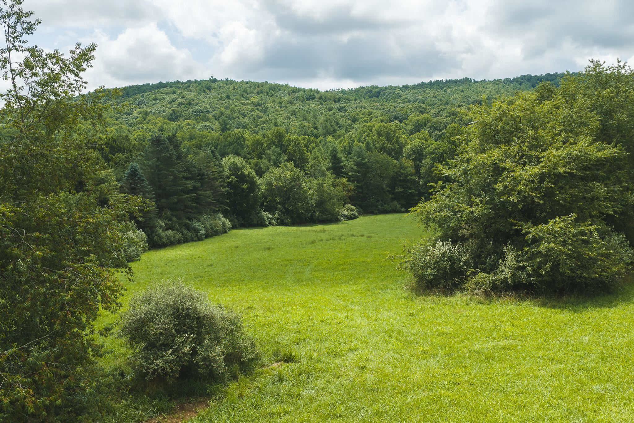 Lot 2 Ridgeview Road Floyd VA 24091