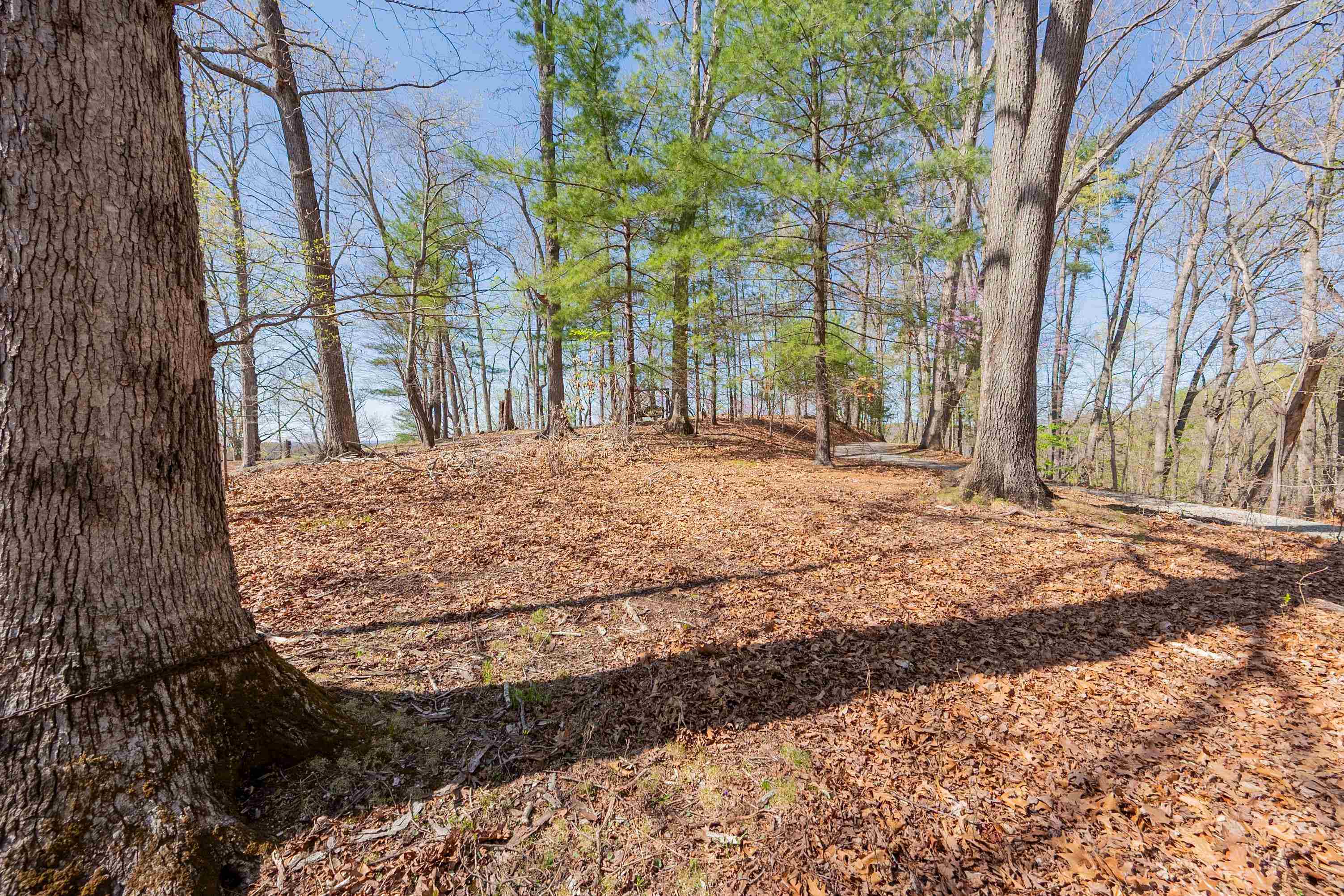 2A Martin Road Radford VA 24141