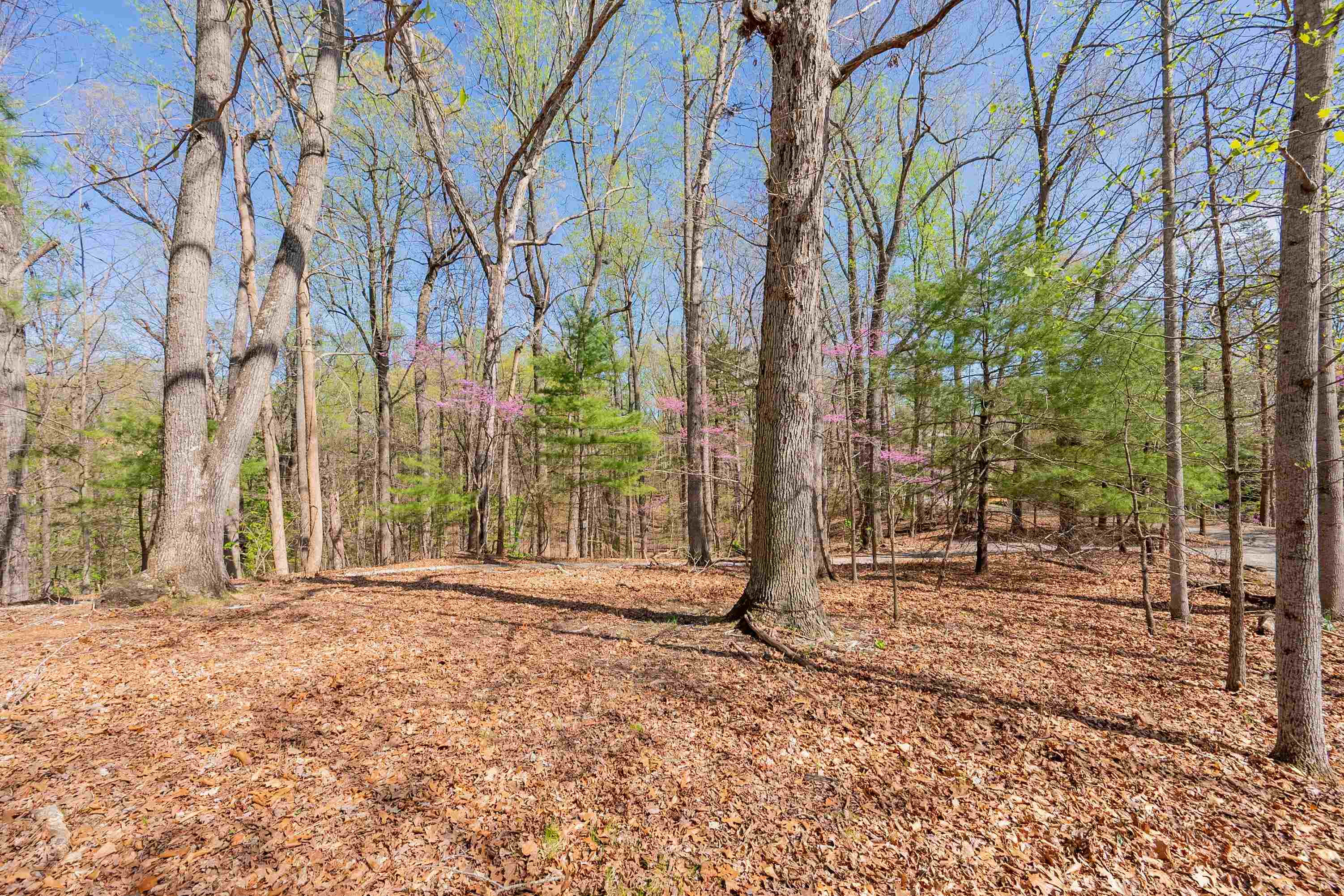 2A Martin Road Radford VA 24141