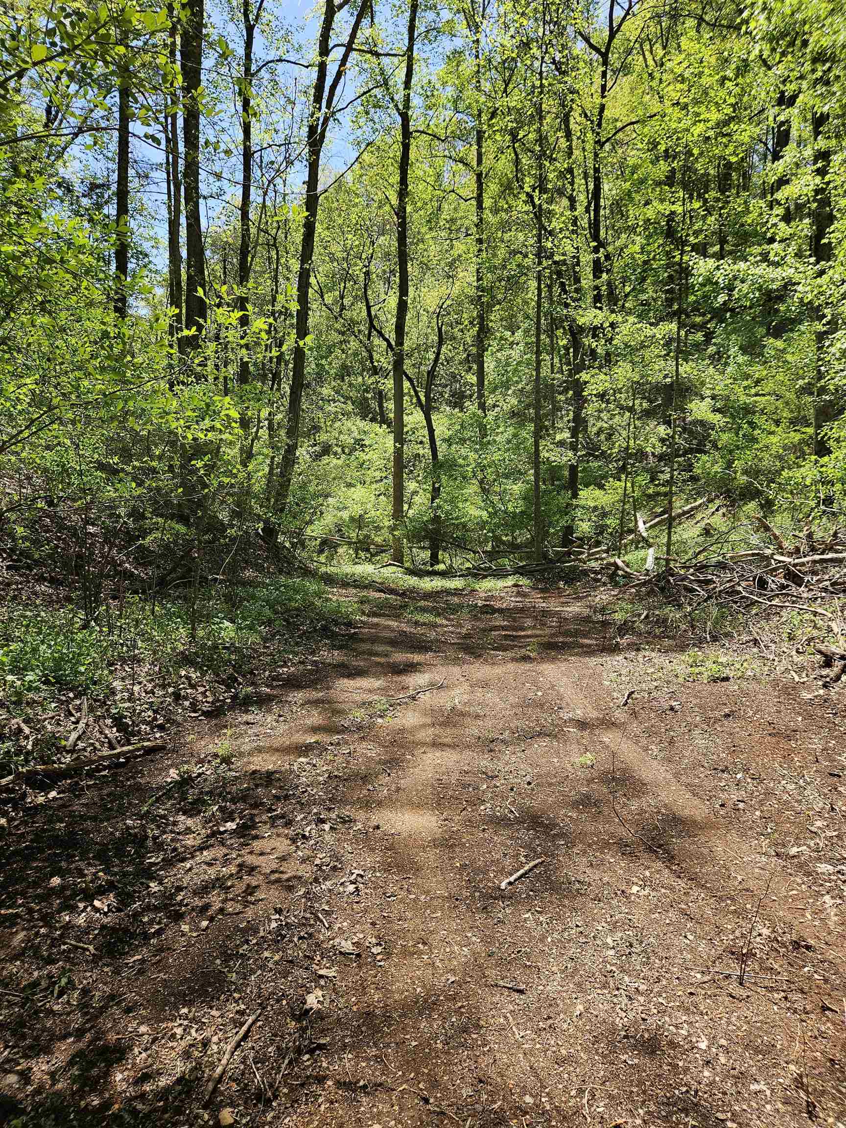 Tbd Cabin Land Drive Radford VA 24141