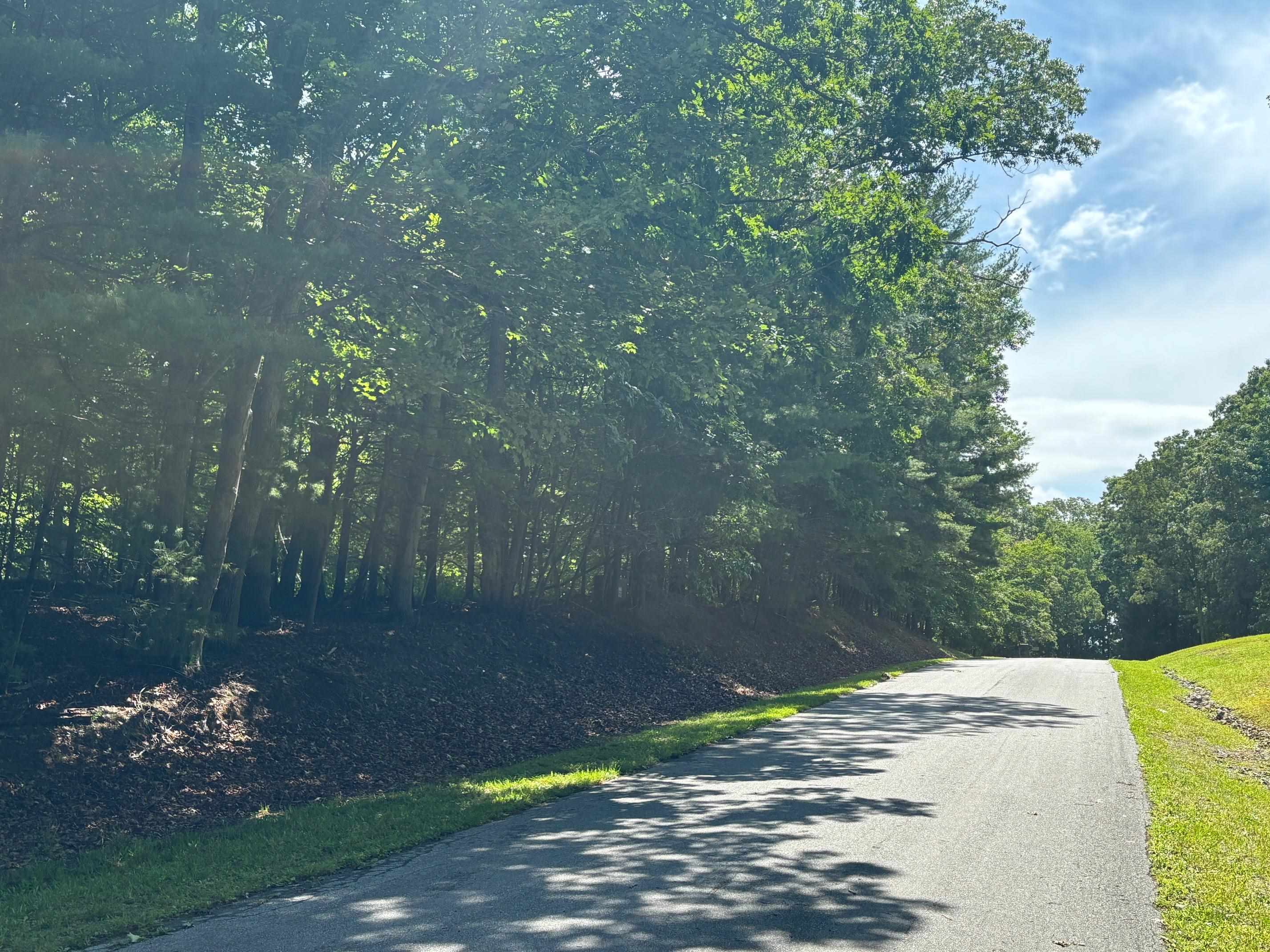 6332 Hazelwood Drive Dublin VA 24084